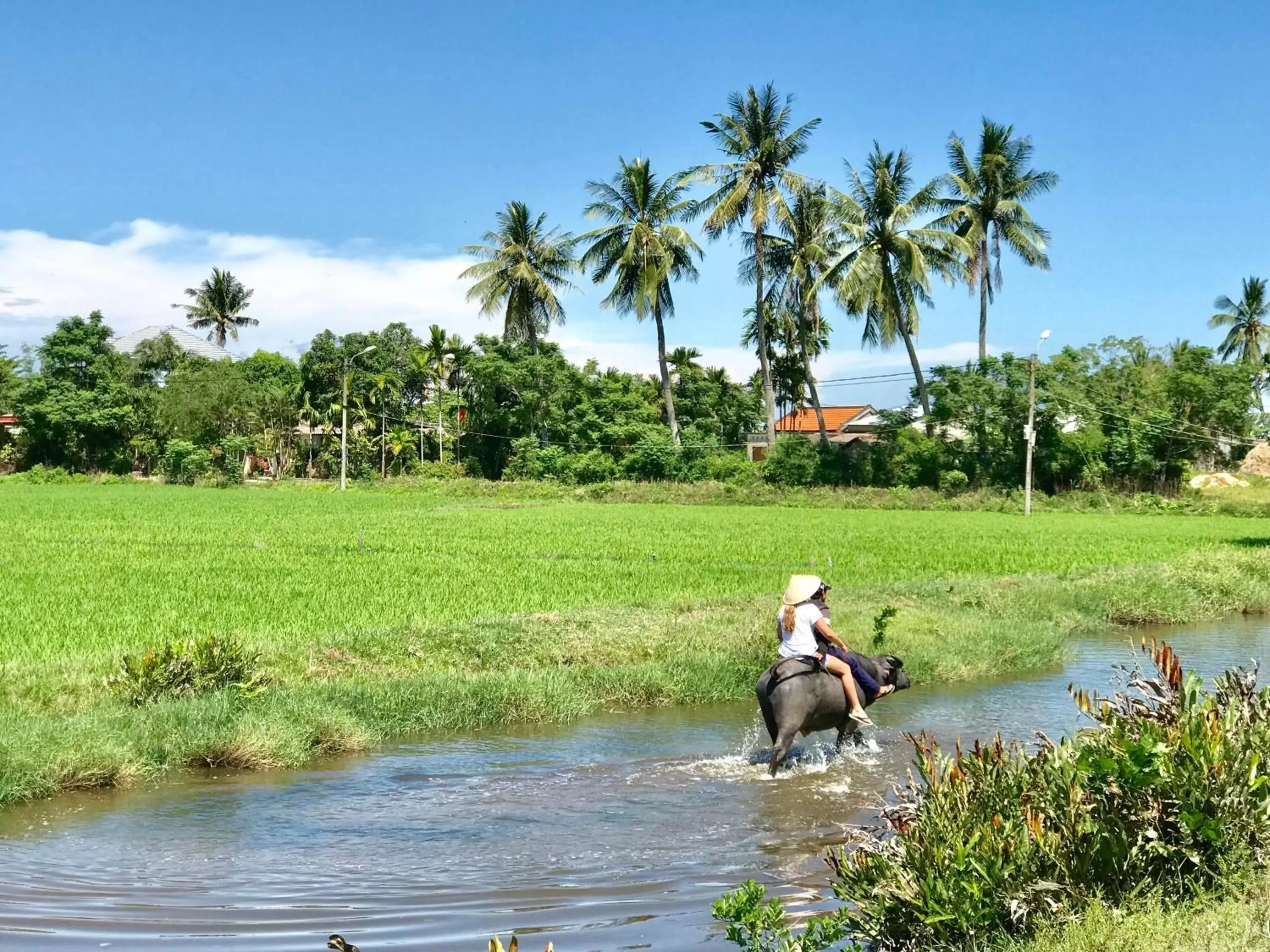 People, Horseback Riding in Santa Sea Villa