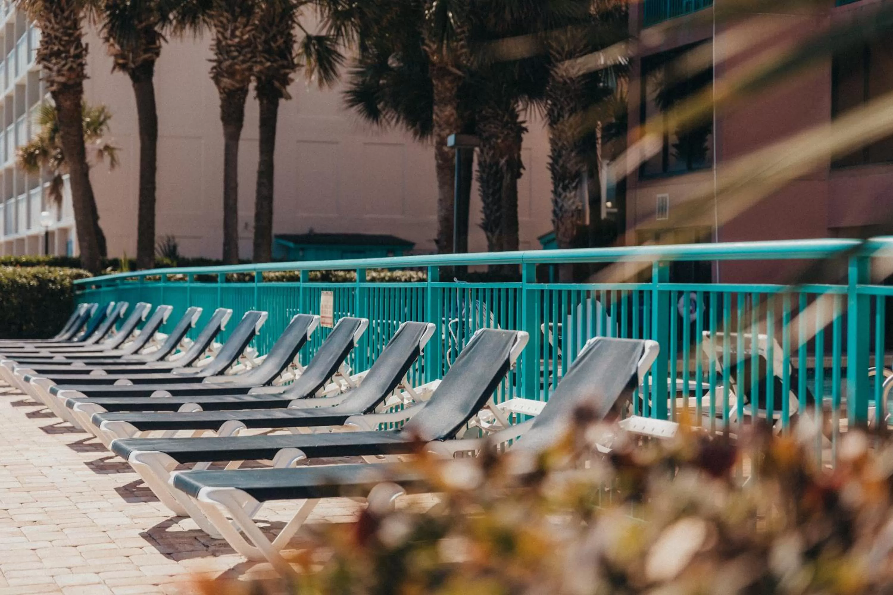 sunbed, Swimming Pool in Sandcastle Oceanfront Resort South Beach