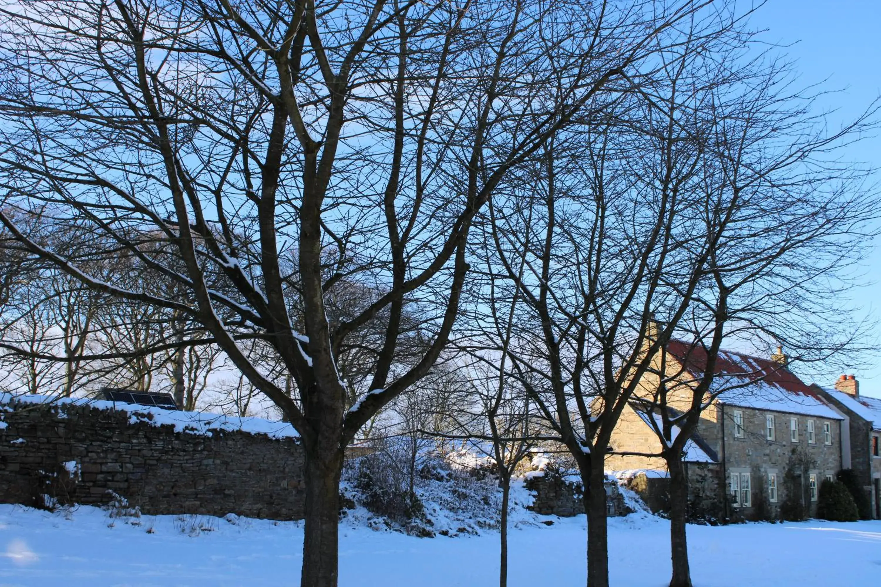 Neighbourhood, Winter in White House Cottages