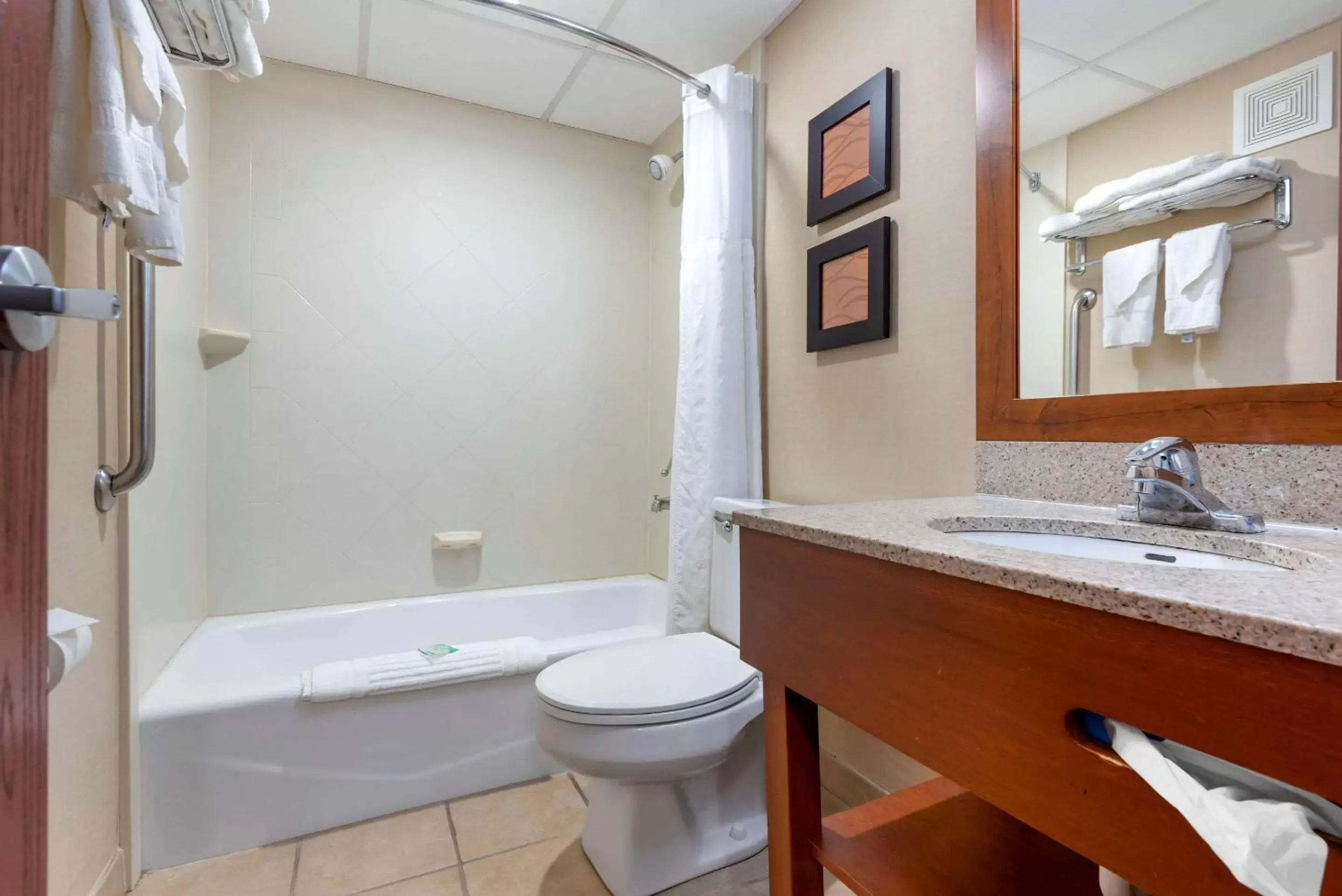 Bathroom in Comfort Inn University