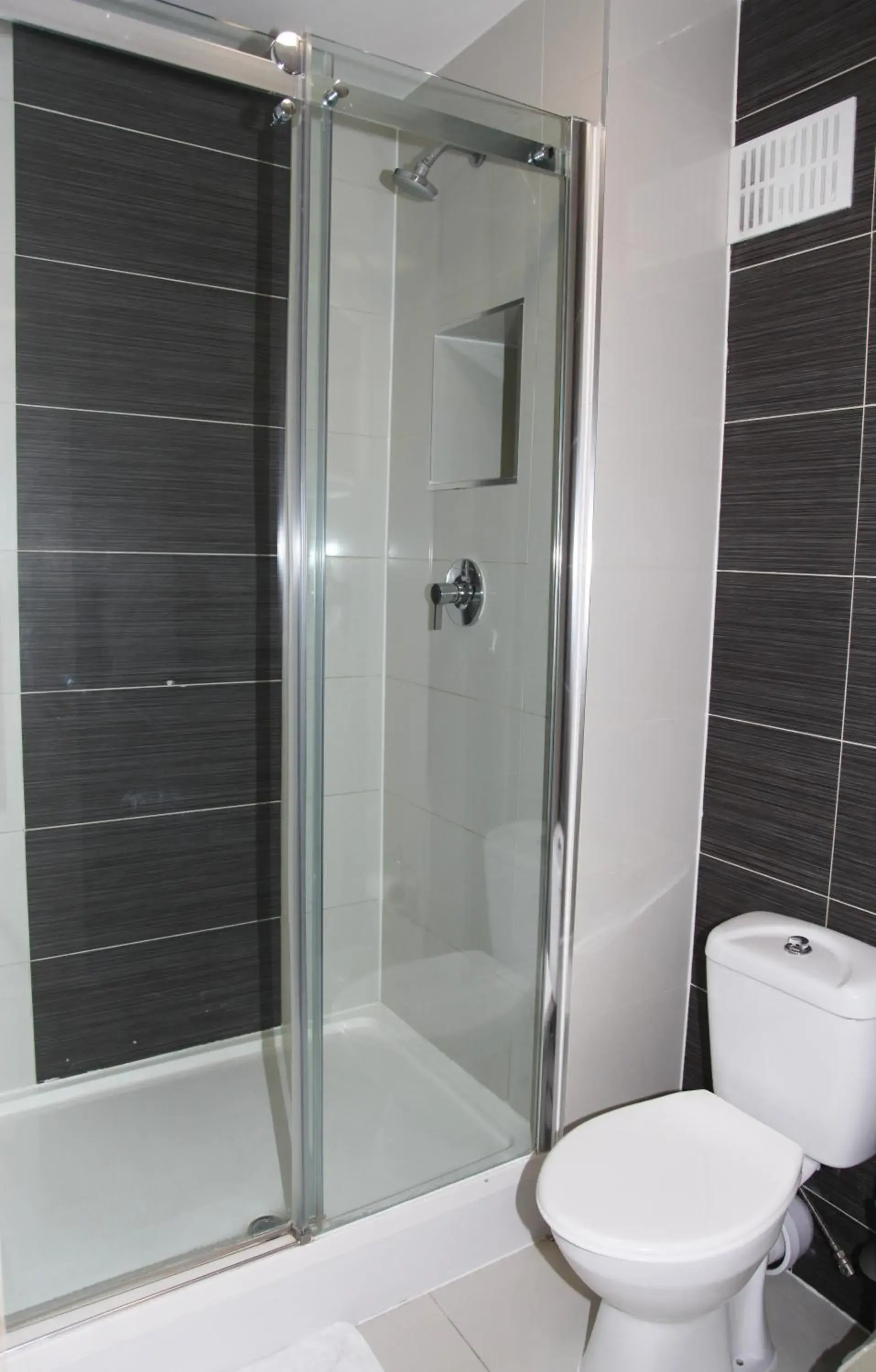 Toilet, Bathroom in Ascot Hyde Park Hotel