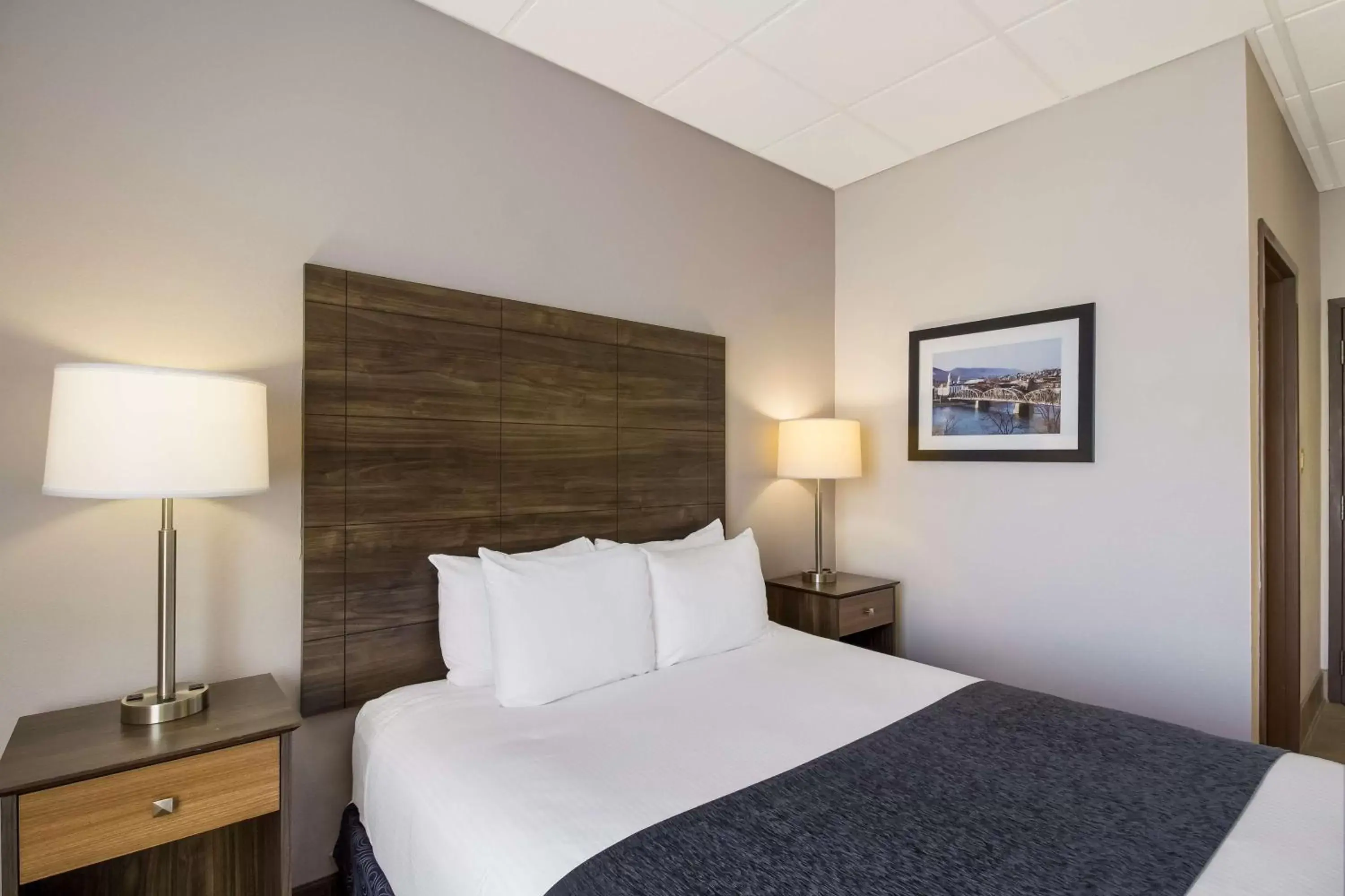 Bedroom, Bed in Best Western Lock Haven Bedroom, Bed in Best Western Lock Haven