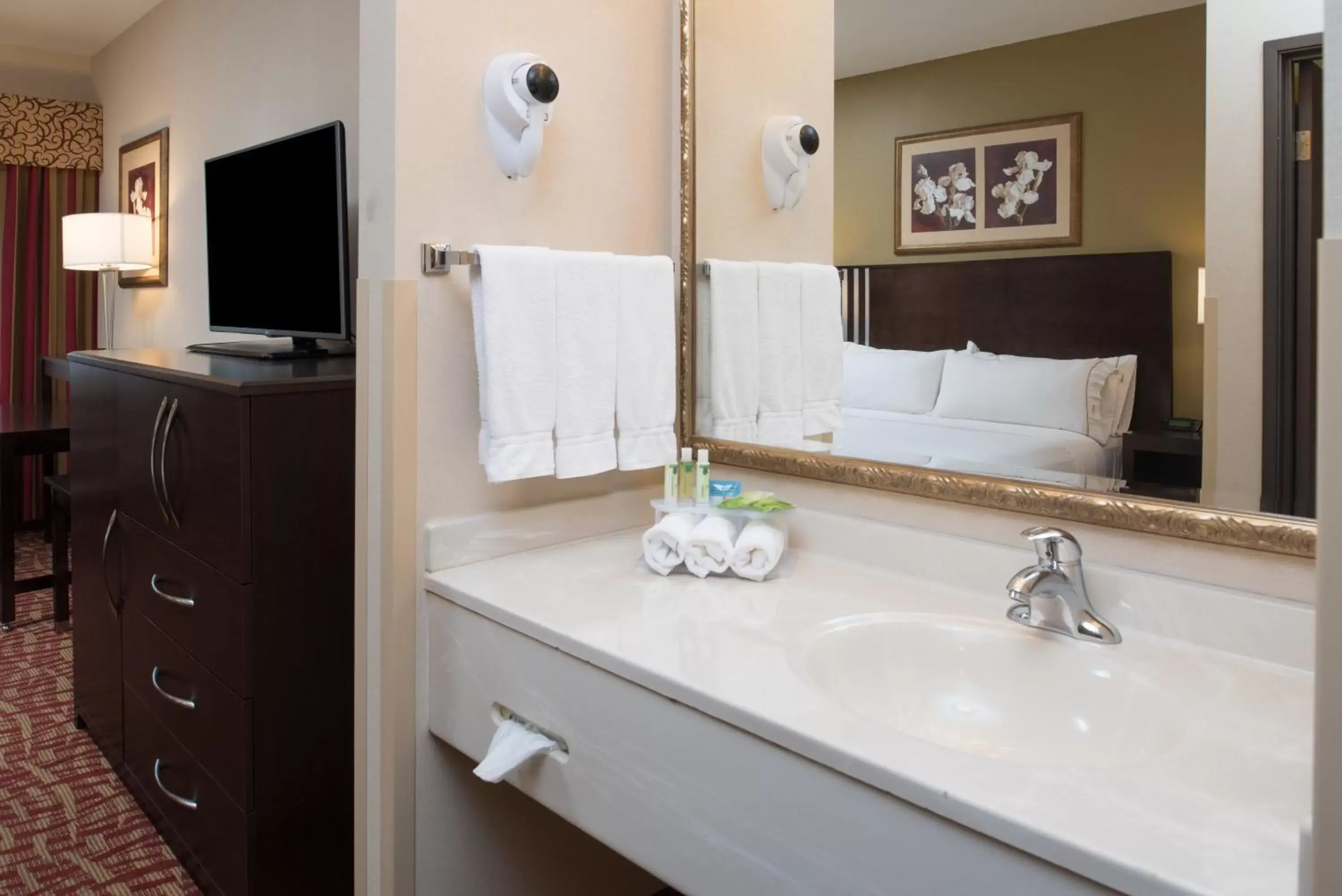 Bathroom in Holiday Inn Express Spokane-Valley, an IHG Hotel