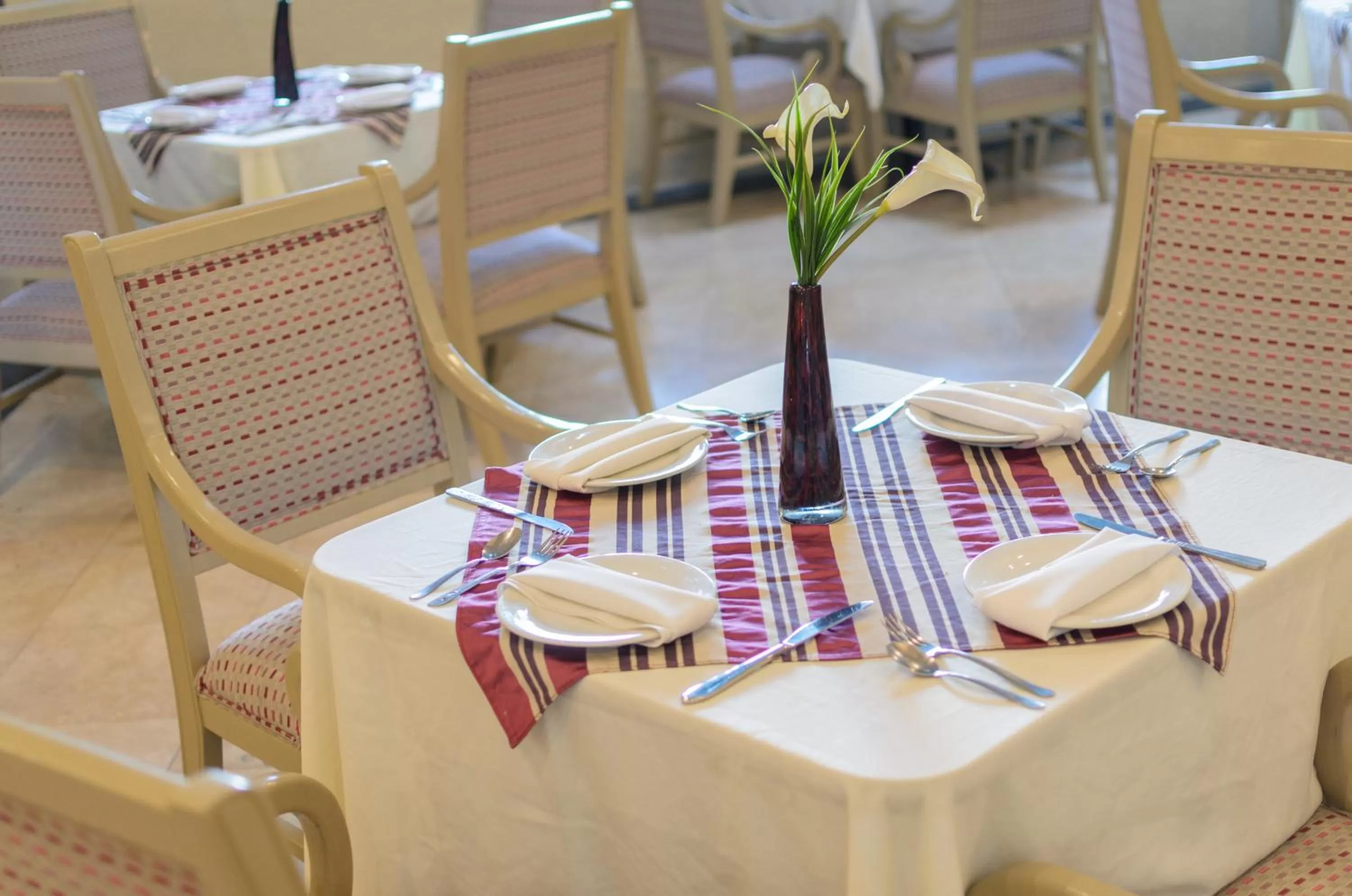 Hotel San Francisco Leon