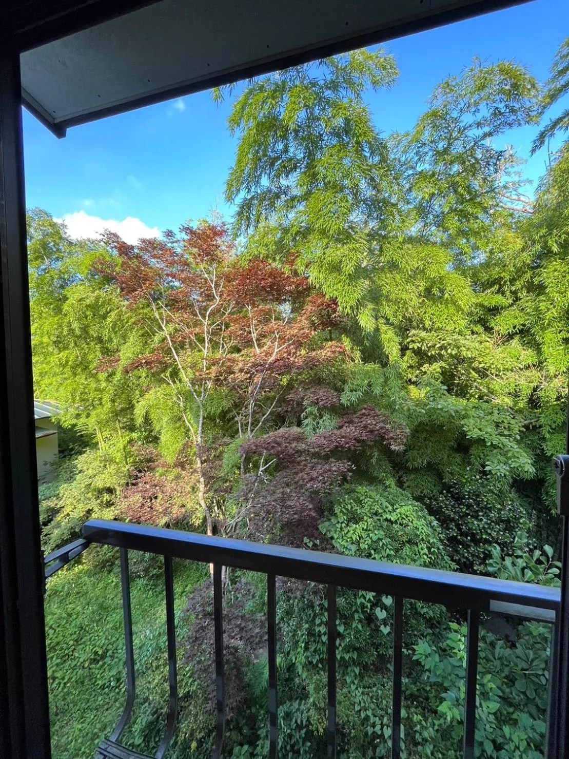 Day in Fuji-Hakone Guest House