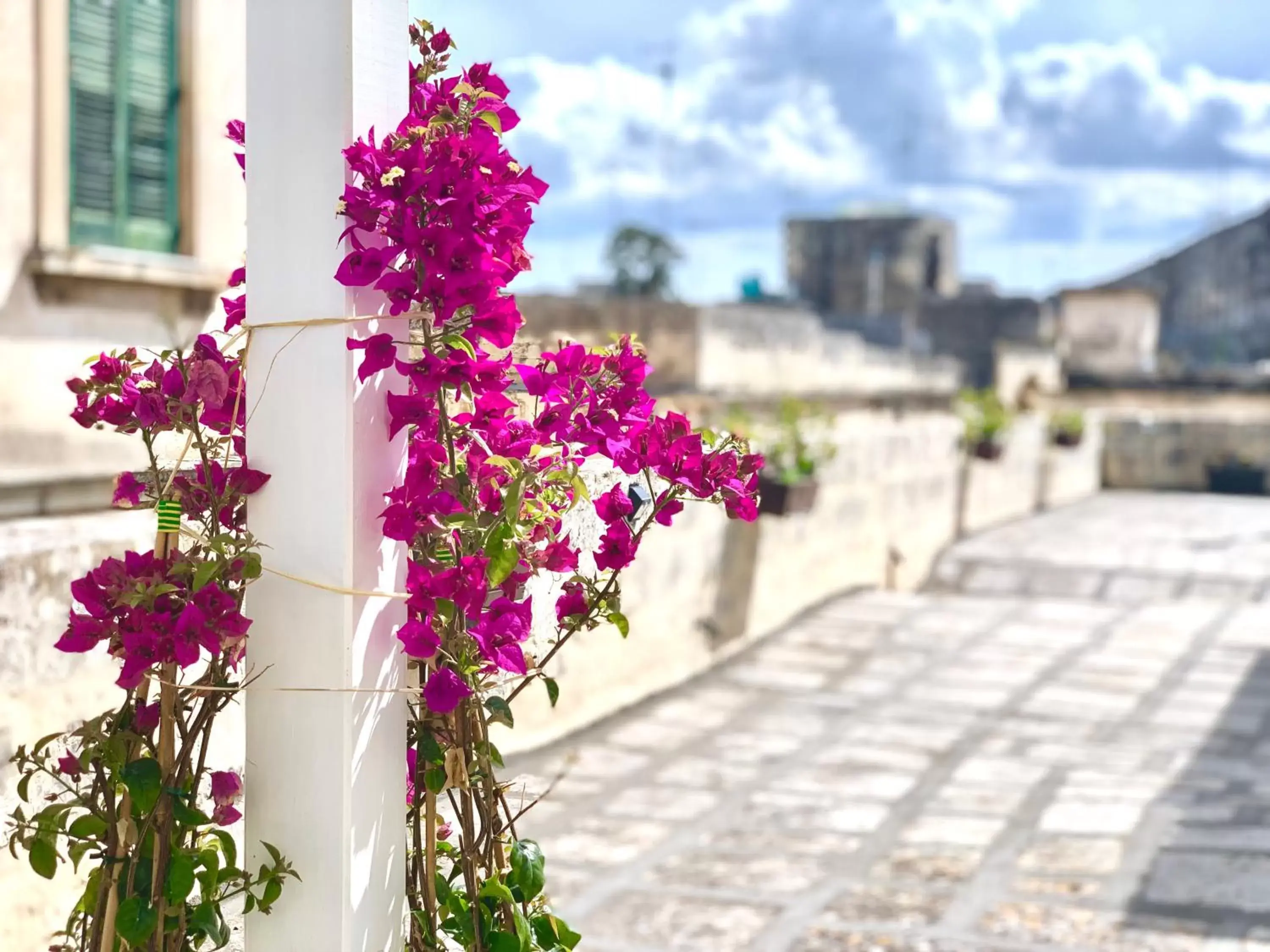 Balcony/Terrace in Dimora San Biagio Suites&Apartment