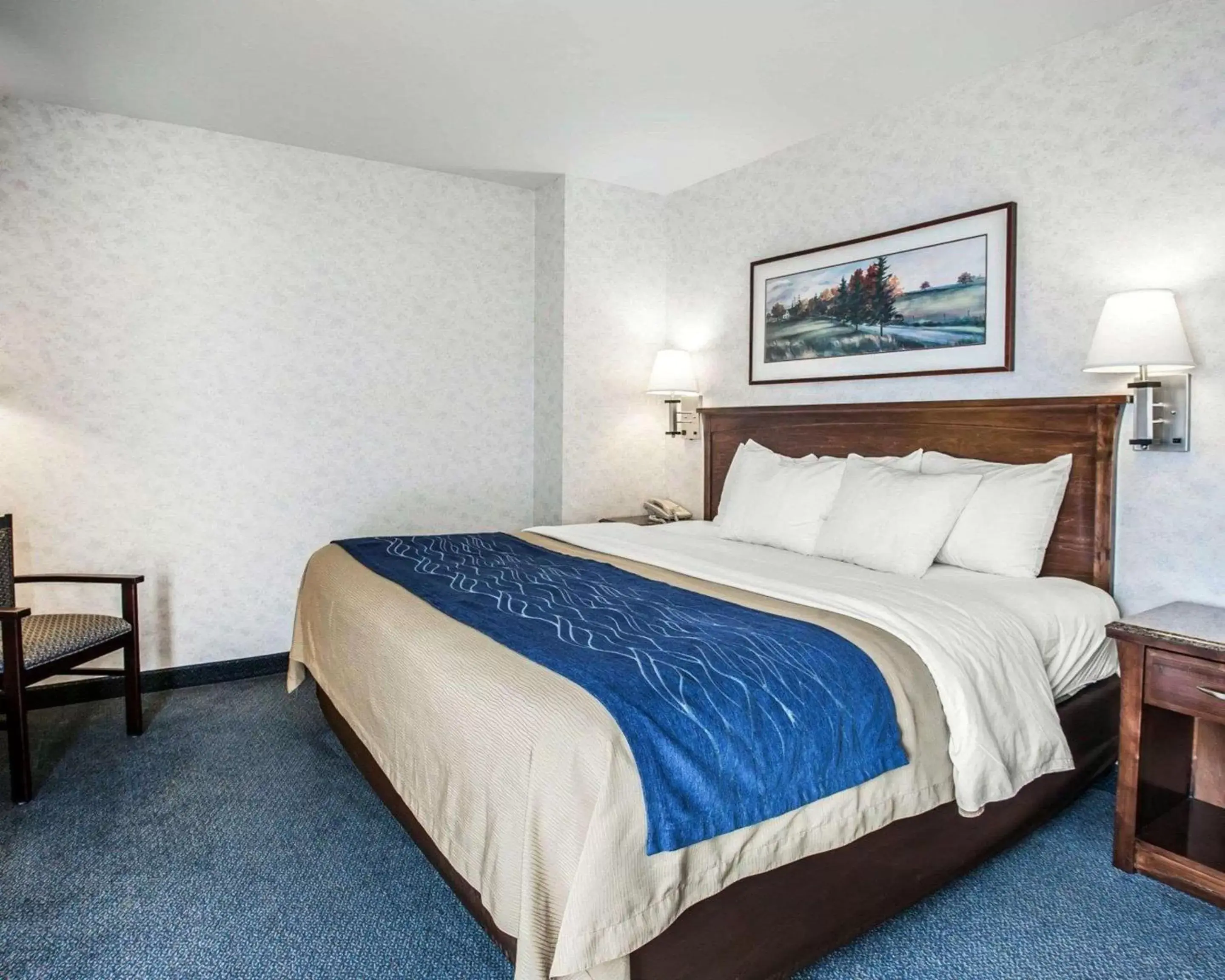 Bedroom, Bed in Comfort Inn Bellingham