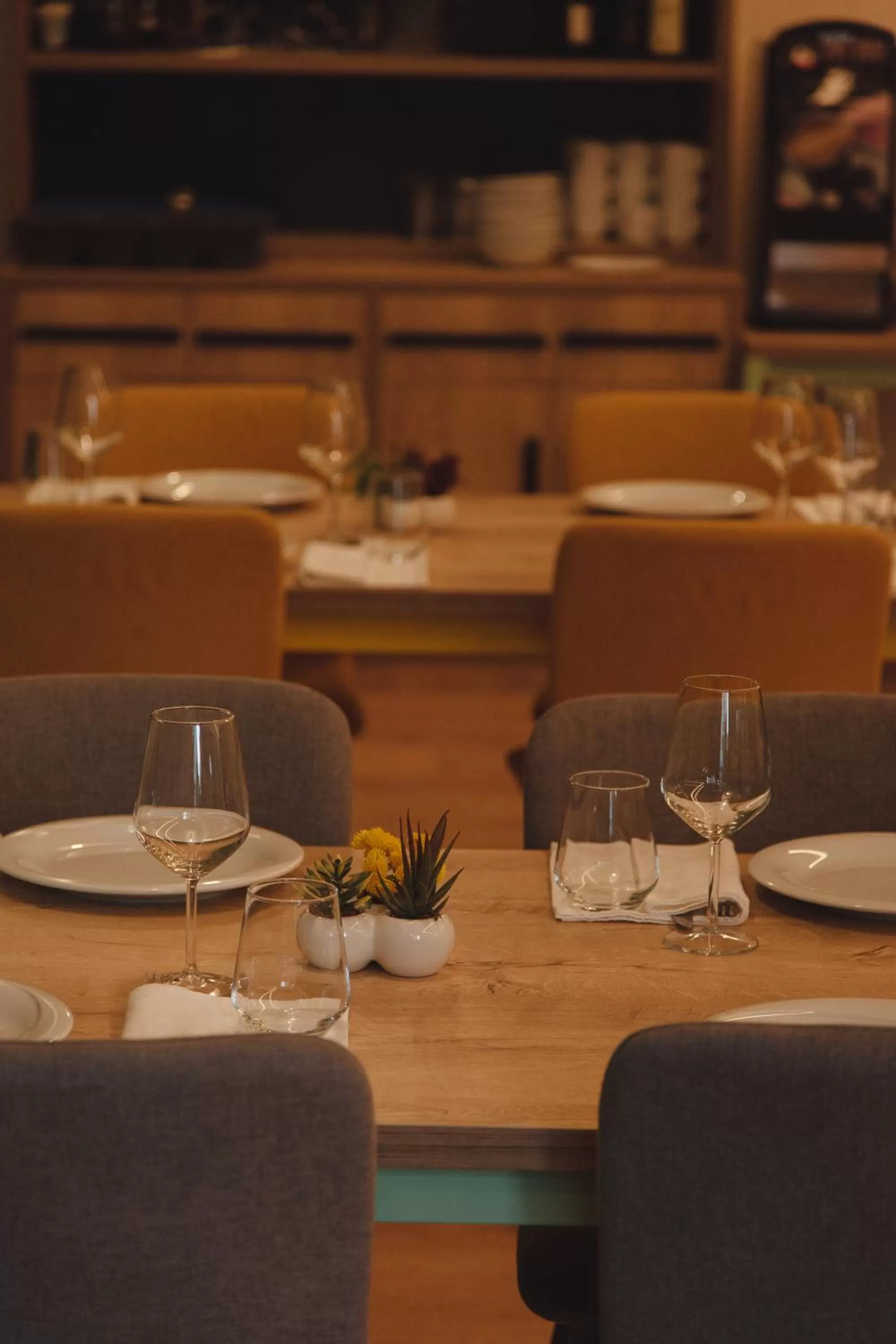 Night in Kadrisa Hotel