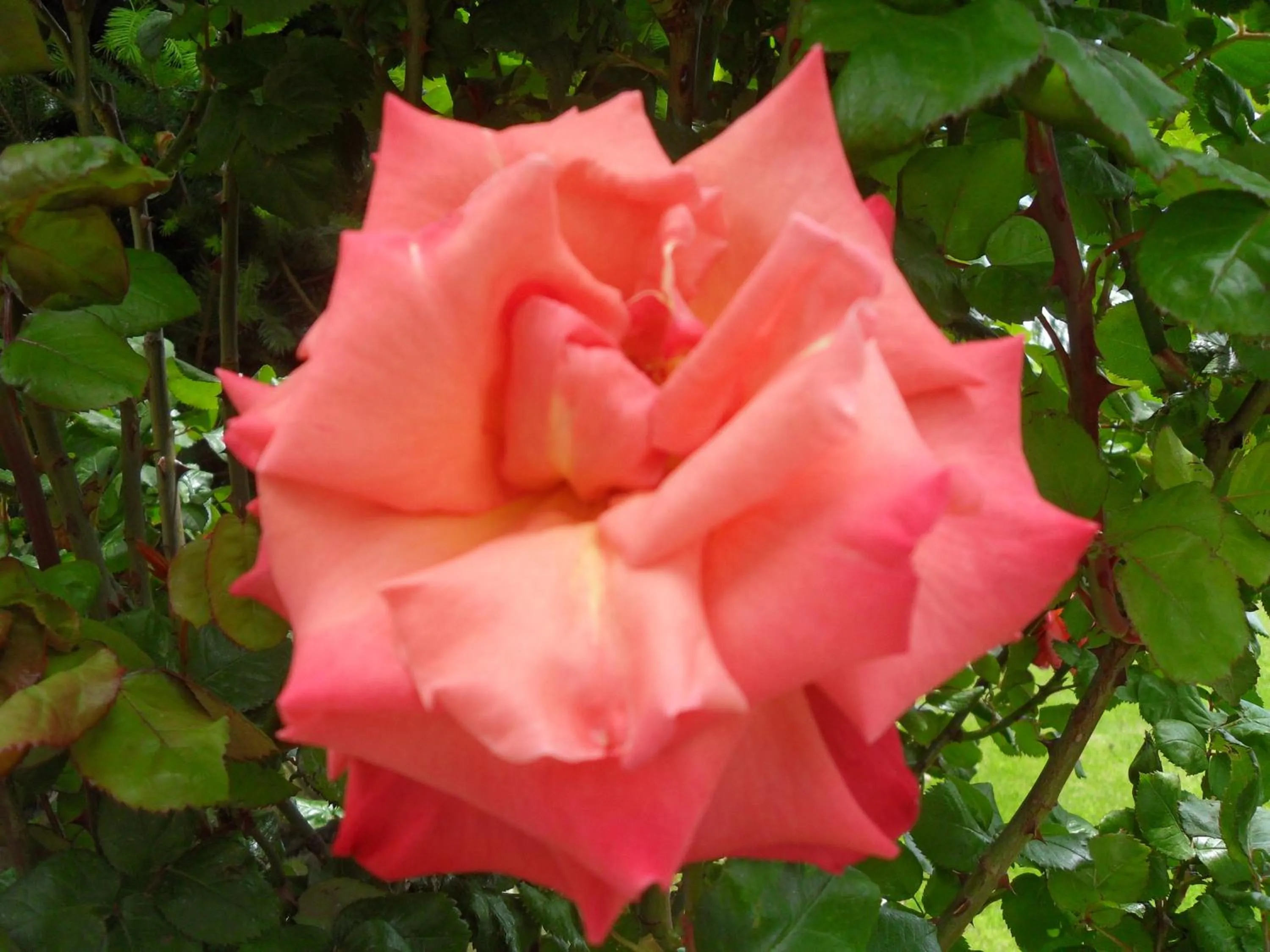 Other in Solares Del Sur