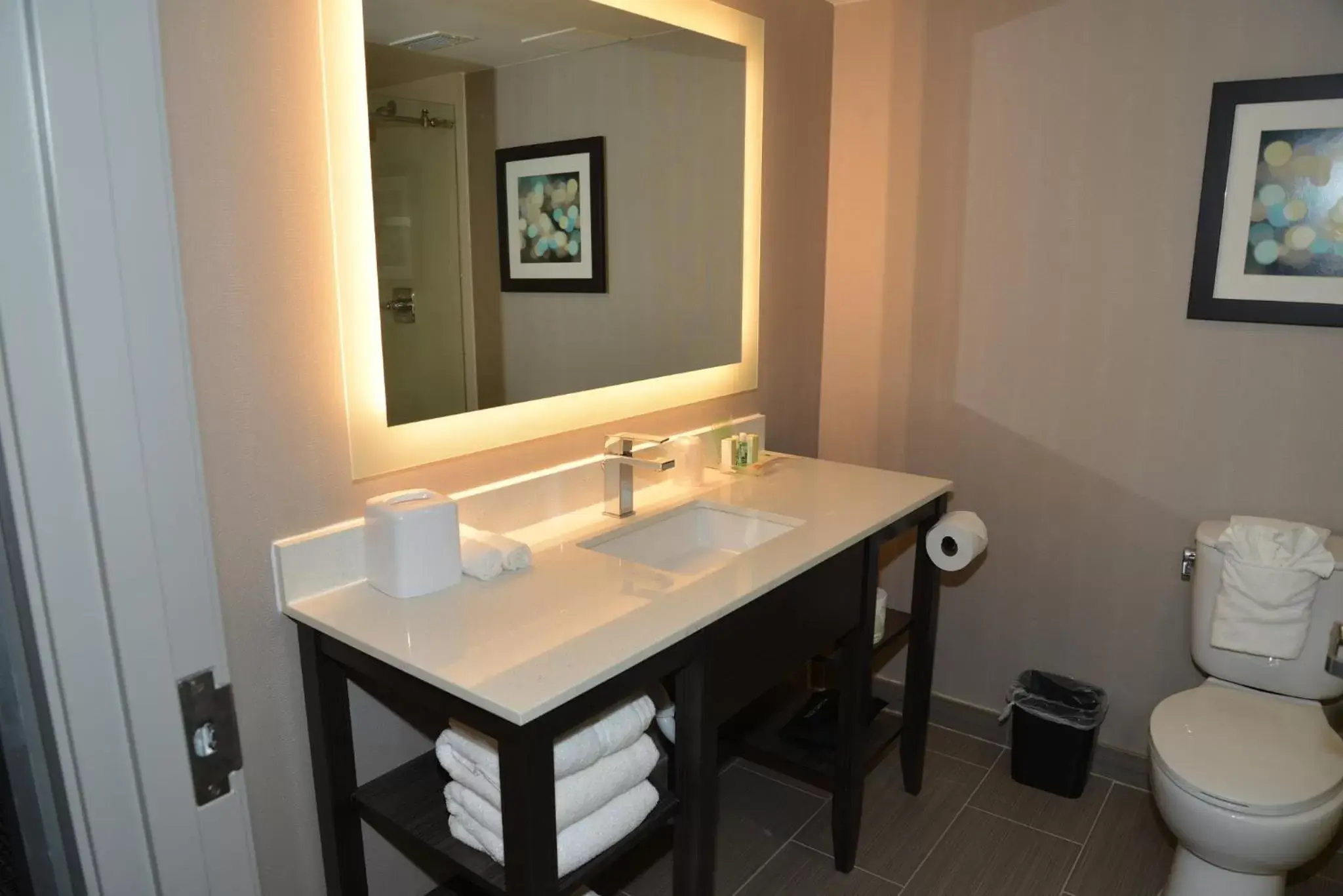 Bathroom in Holiday Inn - Beaumont East-Medical Ctr Area, an IHG Hotel