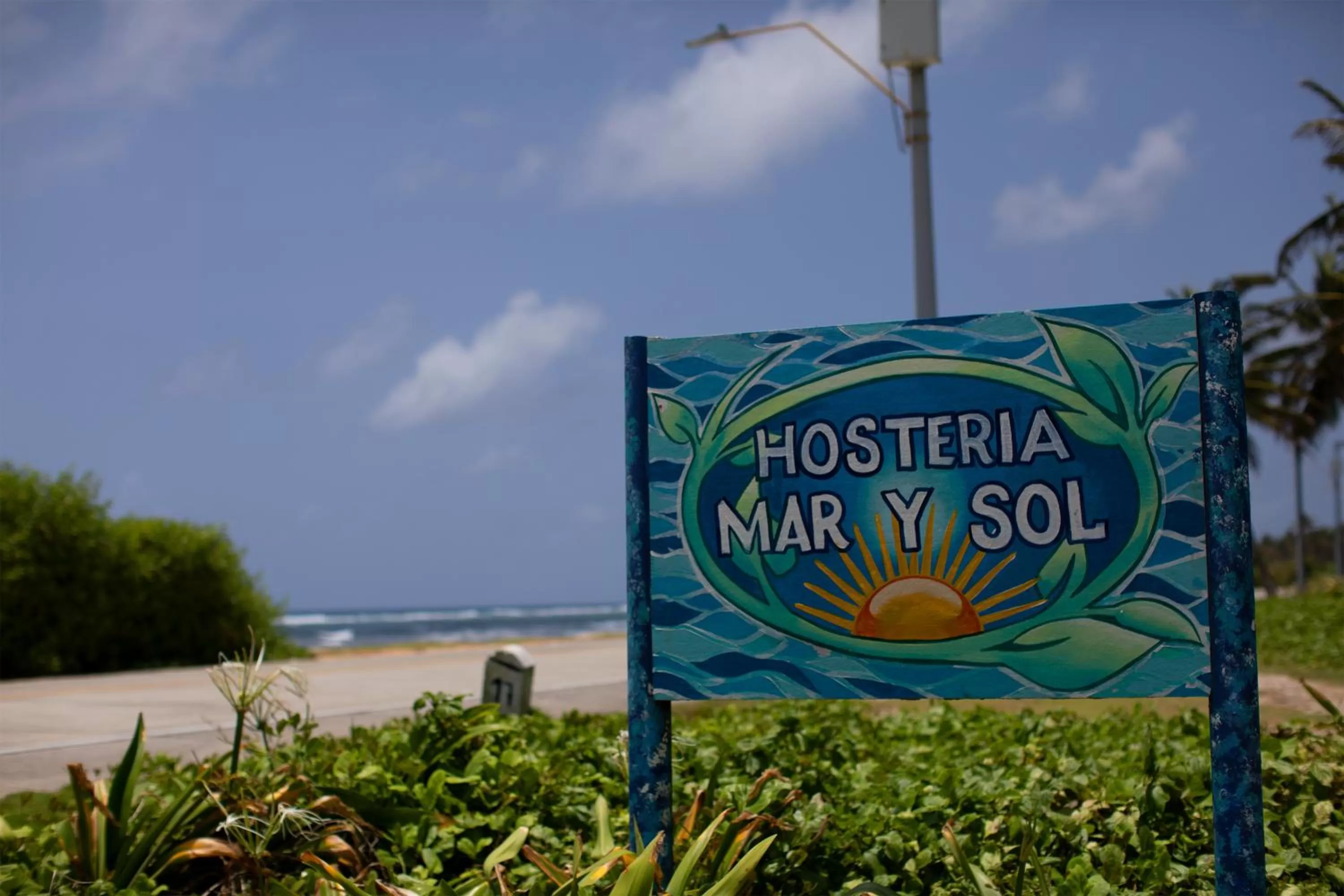 Beach in Hosteria Mar y Sol