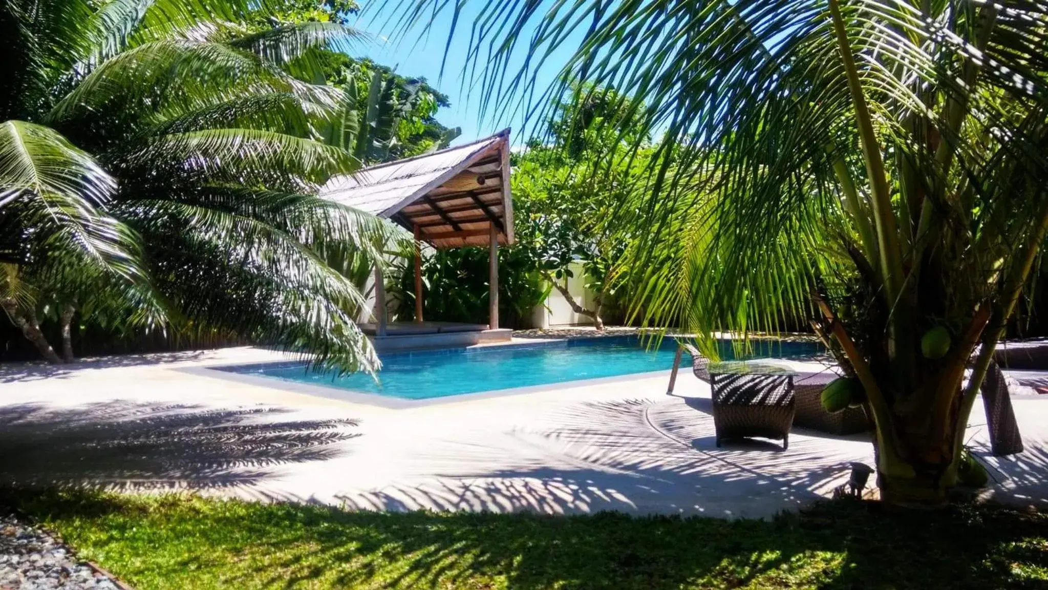 Garden, Swimming Pool in Villa Kalachuchi V.K