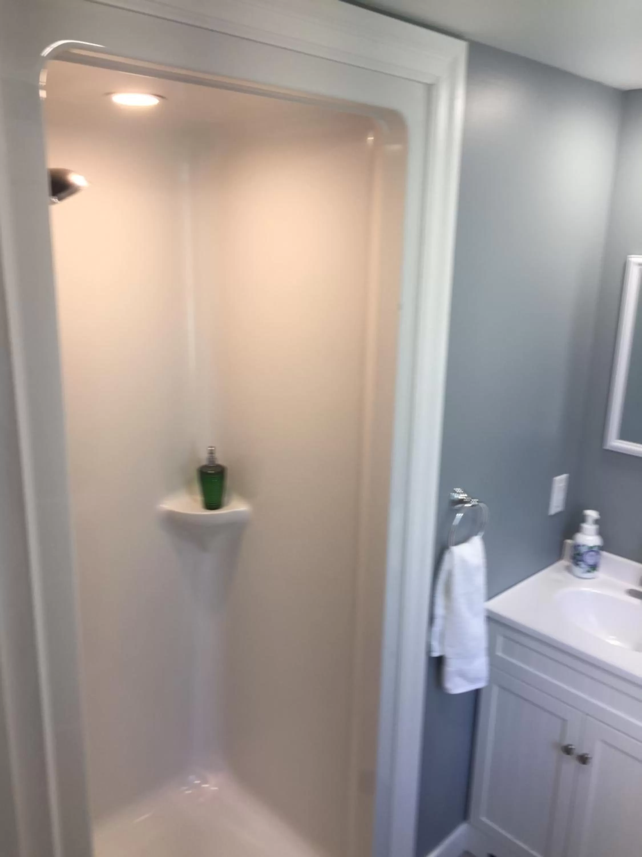 Shower, Bathroom in Abide Within Bed & Breakfast