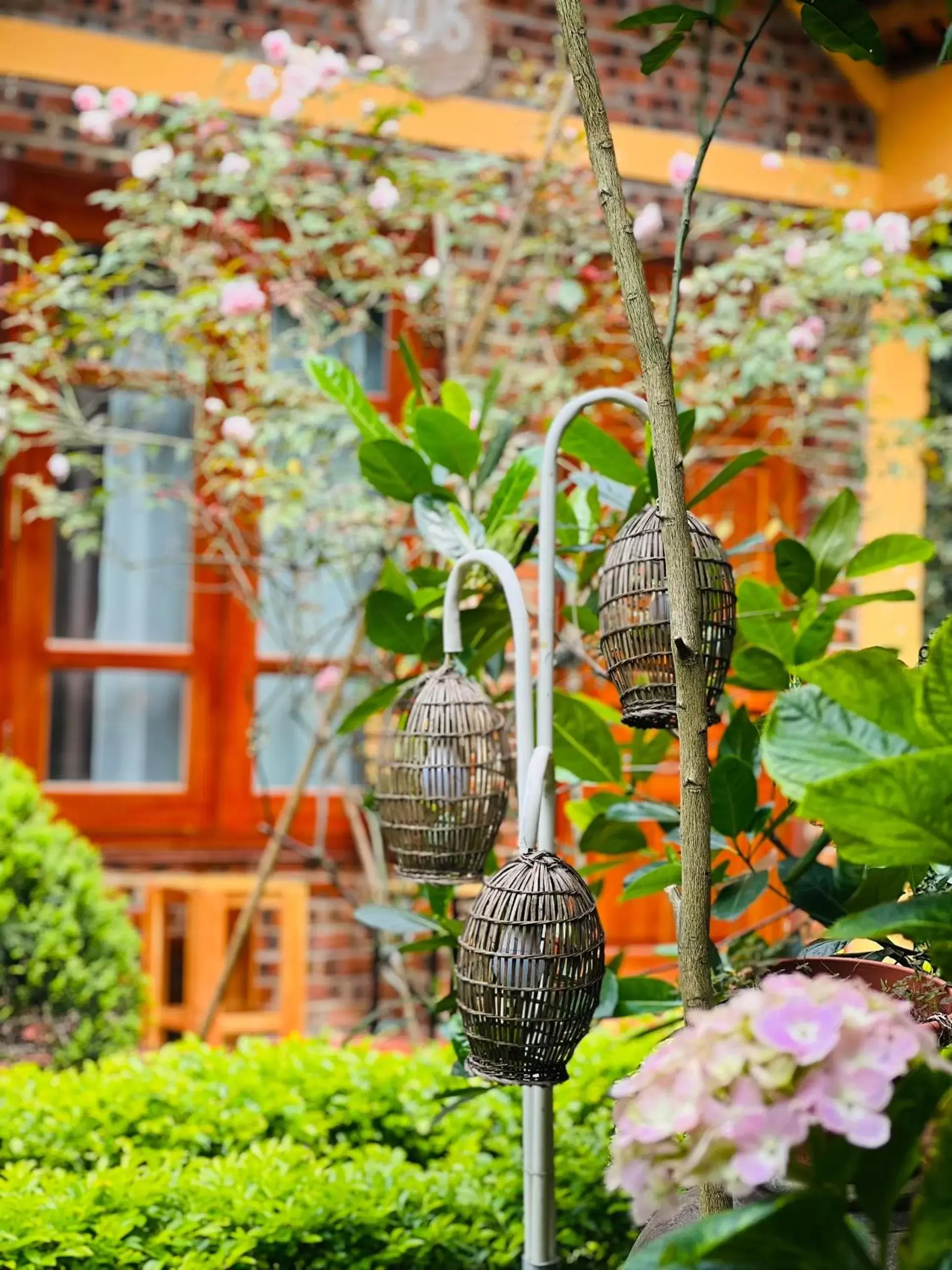 Garden in Tam Coc Luxury Homestay