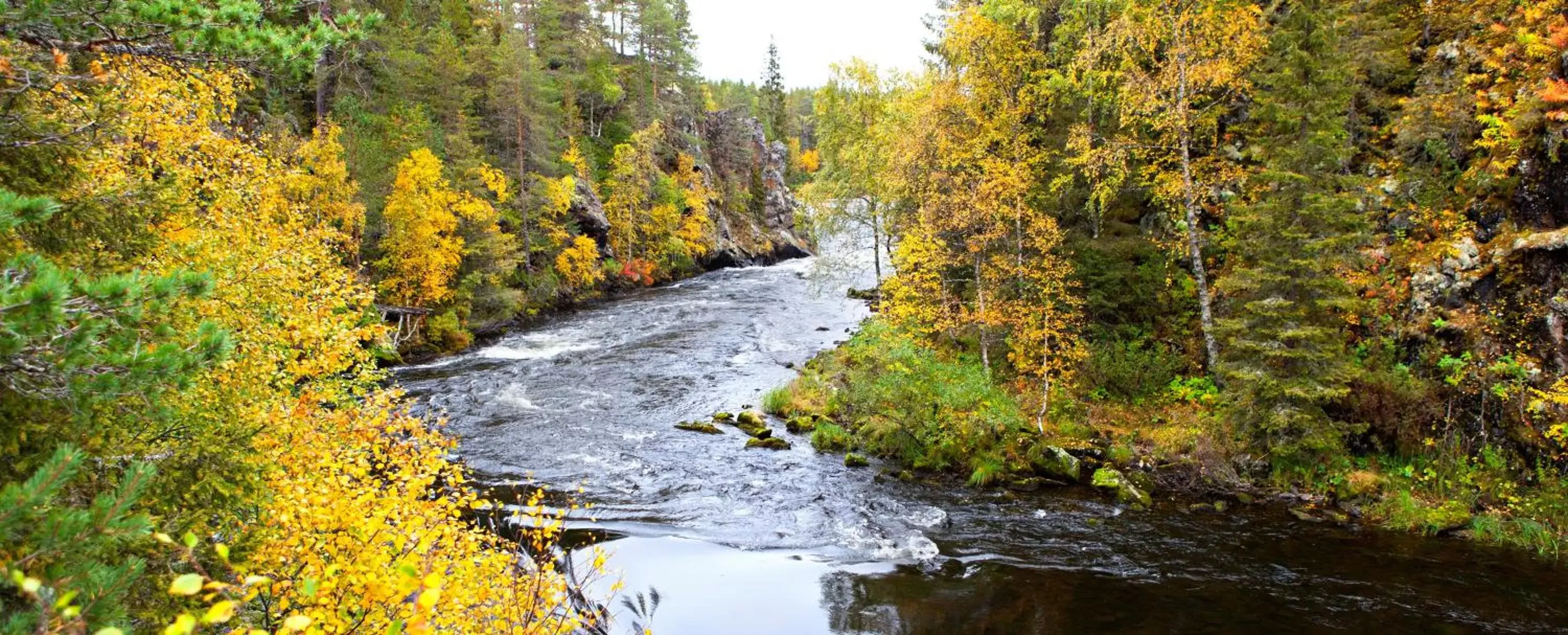 Natural Landscape in Holiday Club Kuusamon Tropiikki