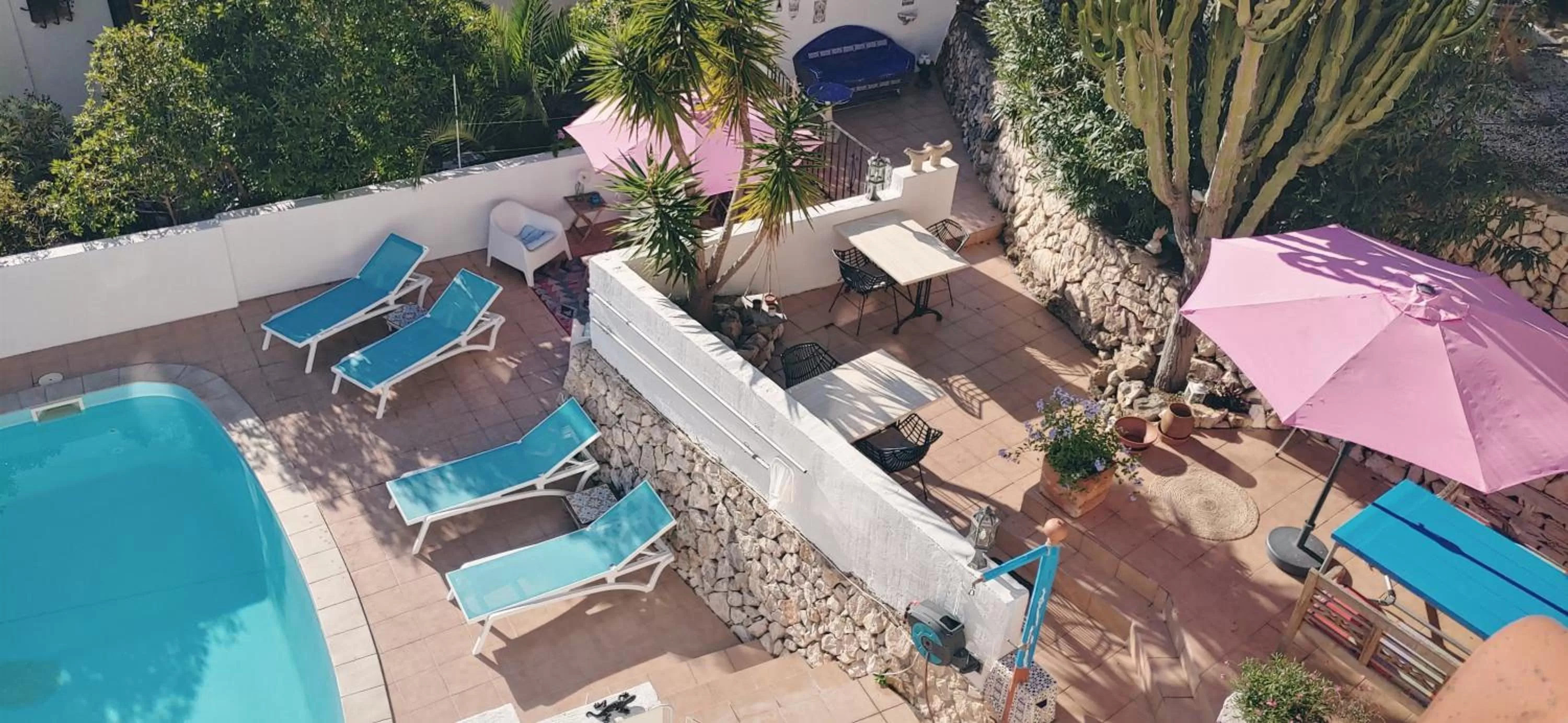 Garden, Pool View in Casa Flamingo
