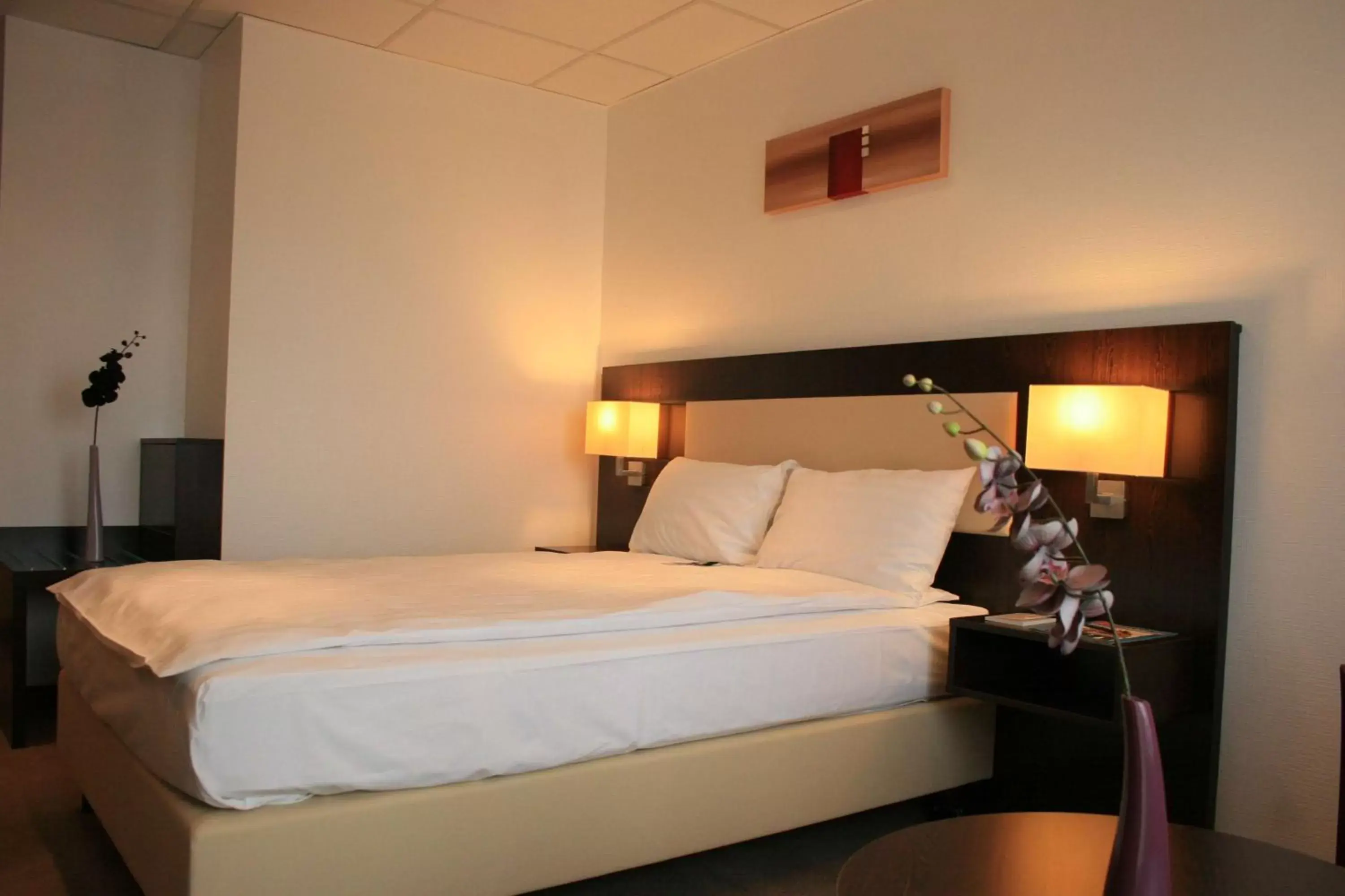 Queen Room with Queen Bed in Best Western Hotel Jena