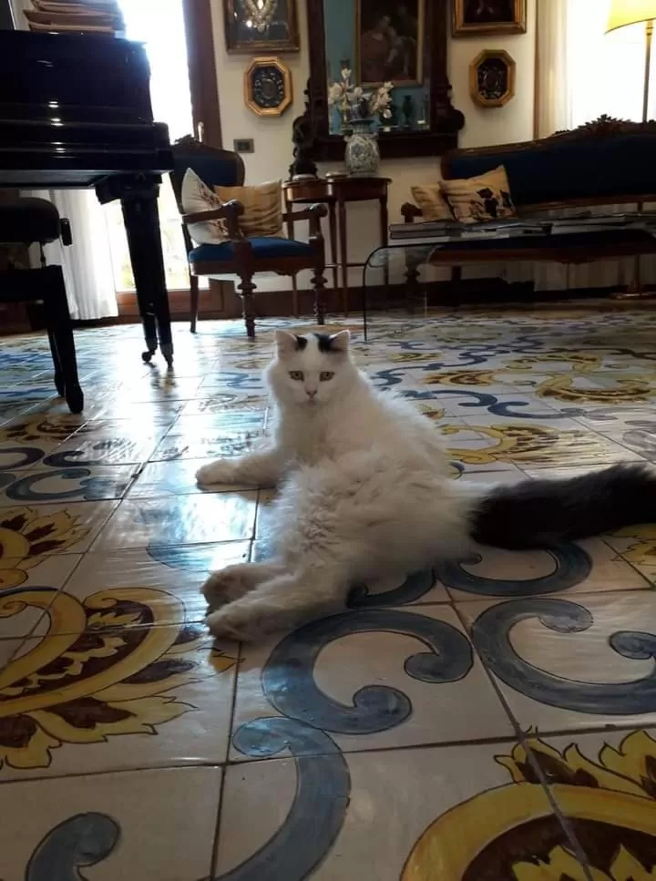 terrazze di montelusa