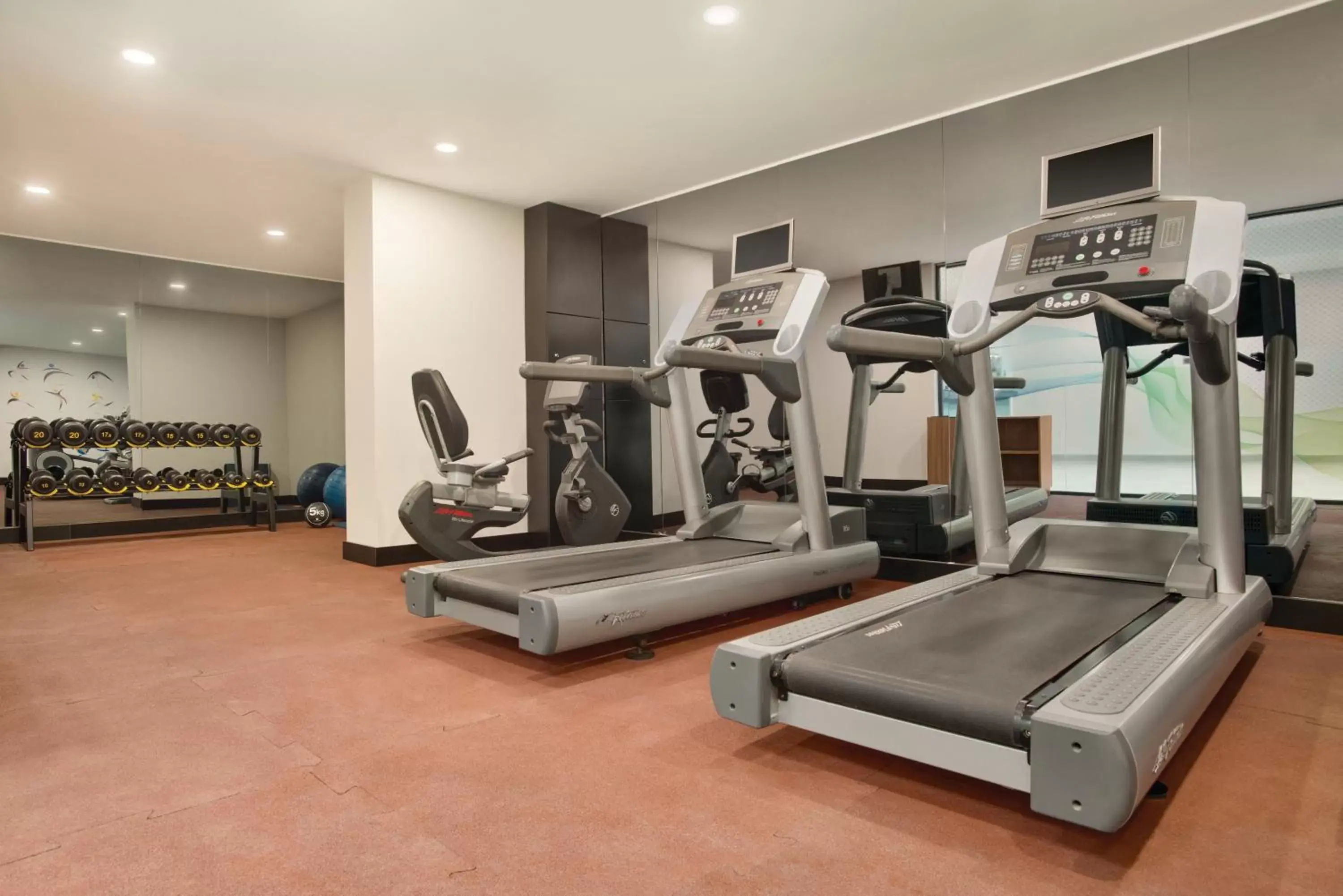 Fitness centre/facilities in Tryp by Wyndham Istanbul Atasehir Fitness centre/facilities in Tryp by Wyndham Istanbul Atasehir