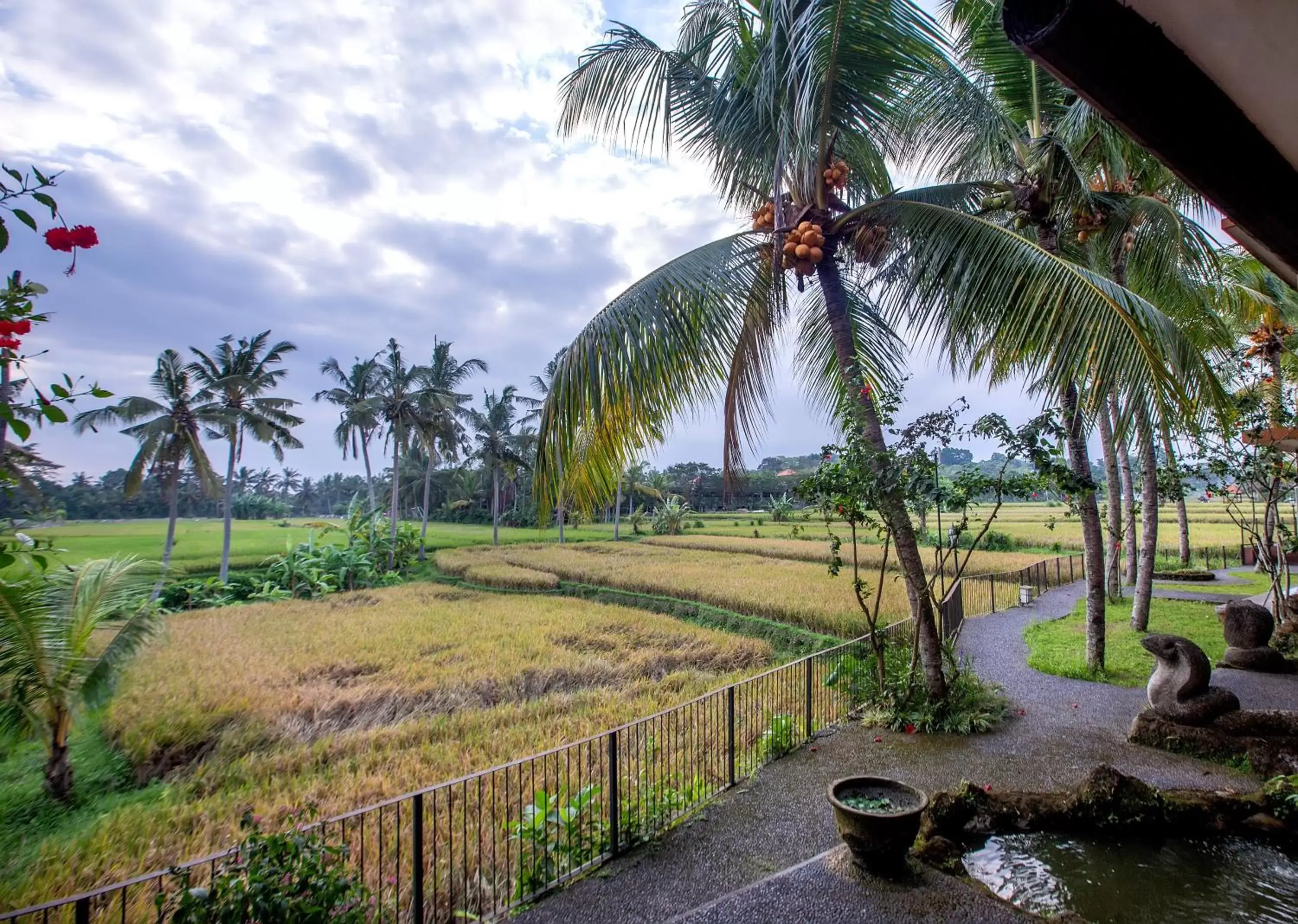 View (from property/room), Garden in Green Field Hotel and Restaurant