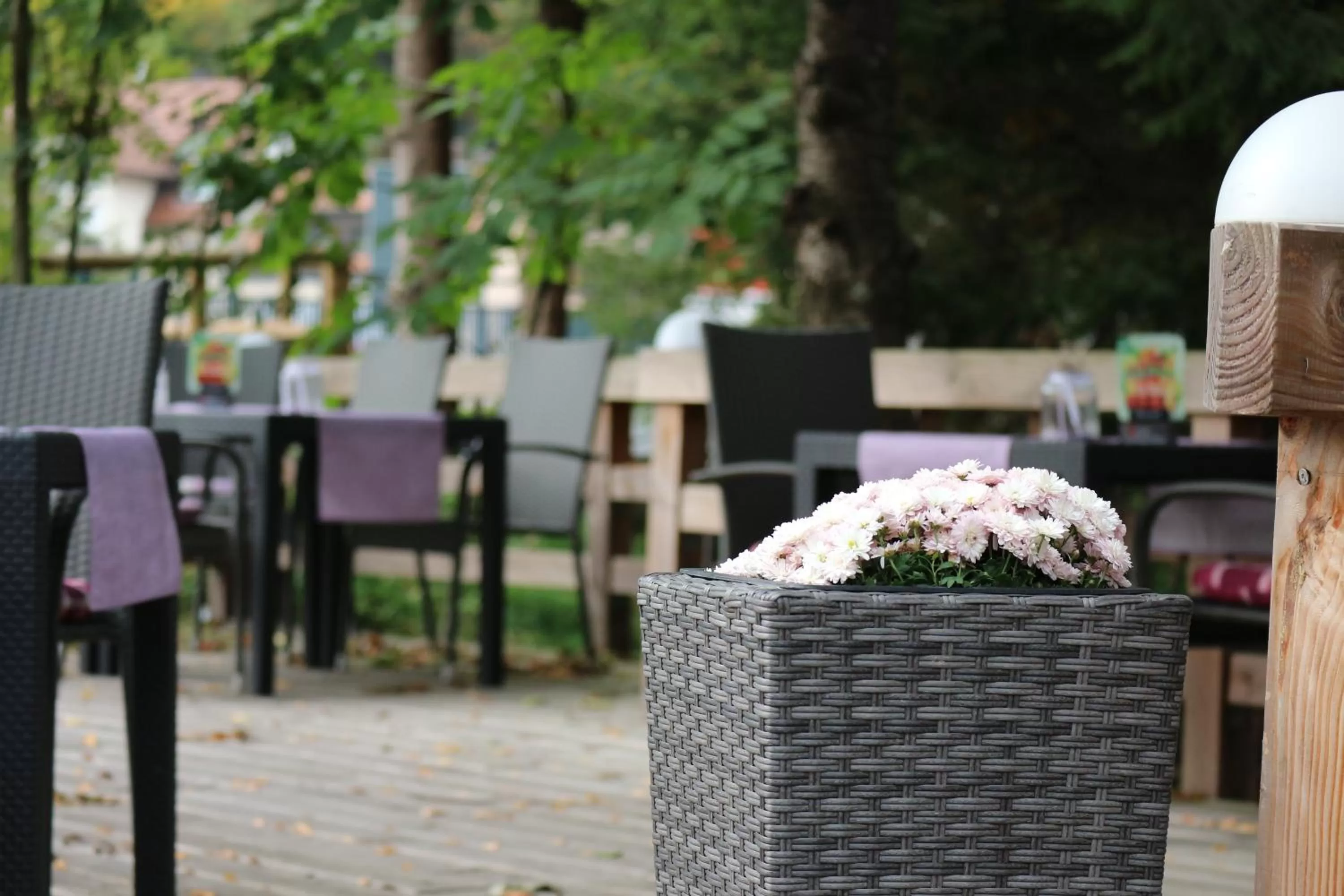 Balcony/Terrace in Schwarzwaldhotel Stollen