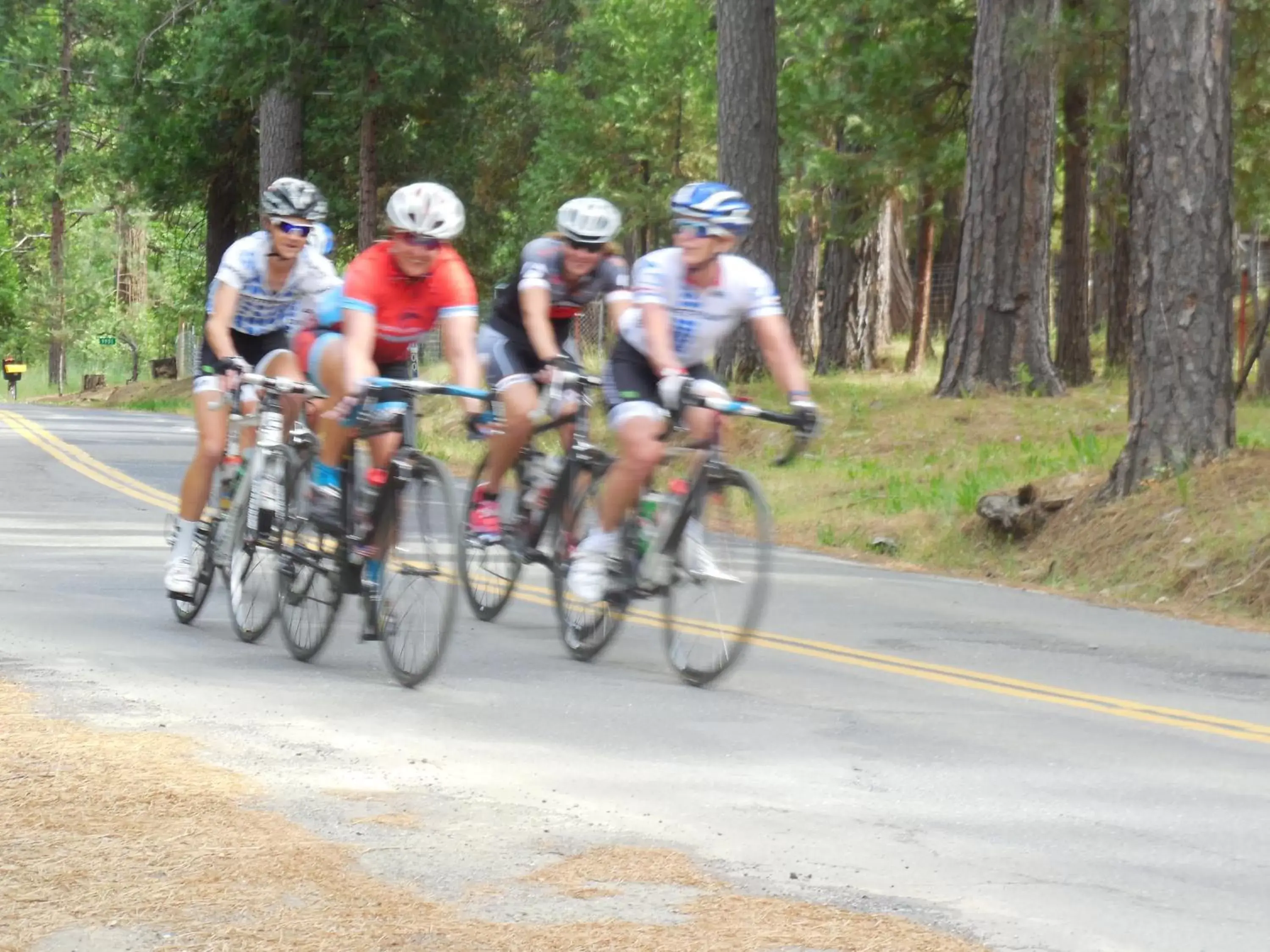 People, Biking in Yosemite Paradise Inn