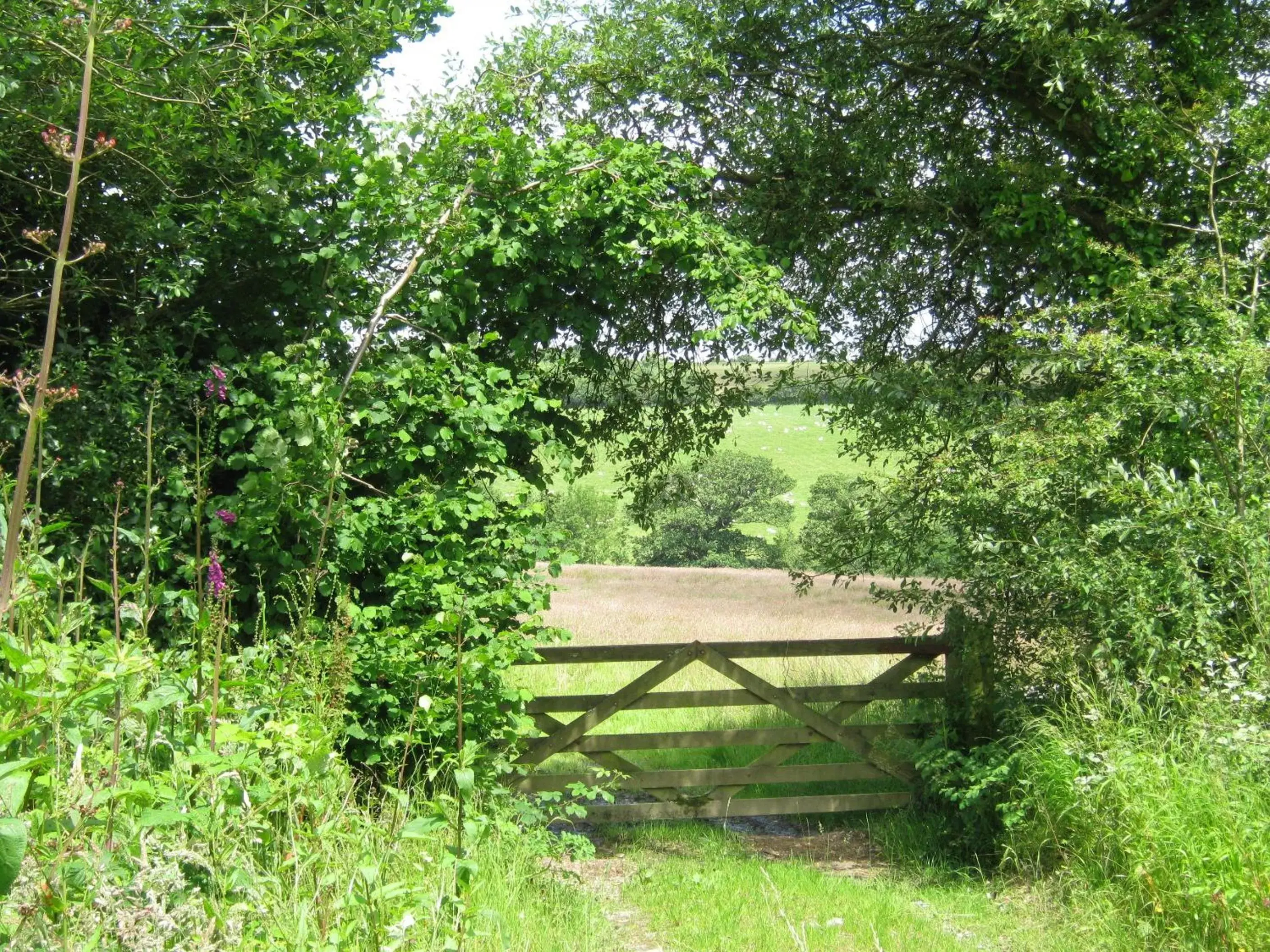 Area and facilities, Garden in Hollamoor Farm