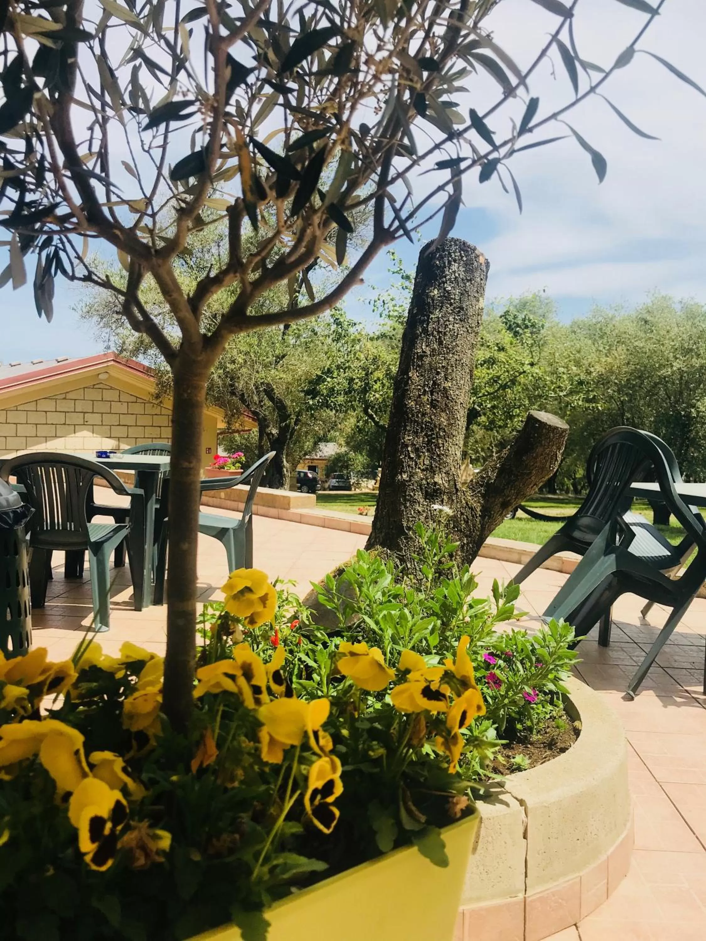 Garden in Green Park Hotel & Residence