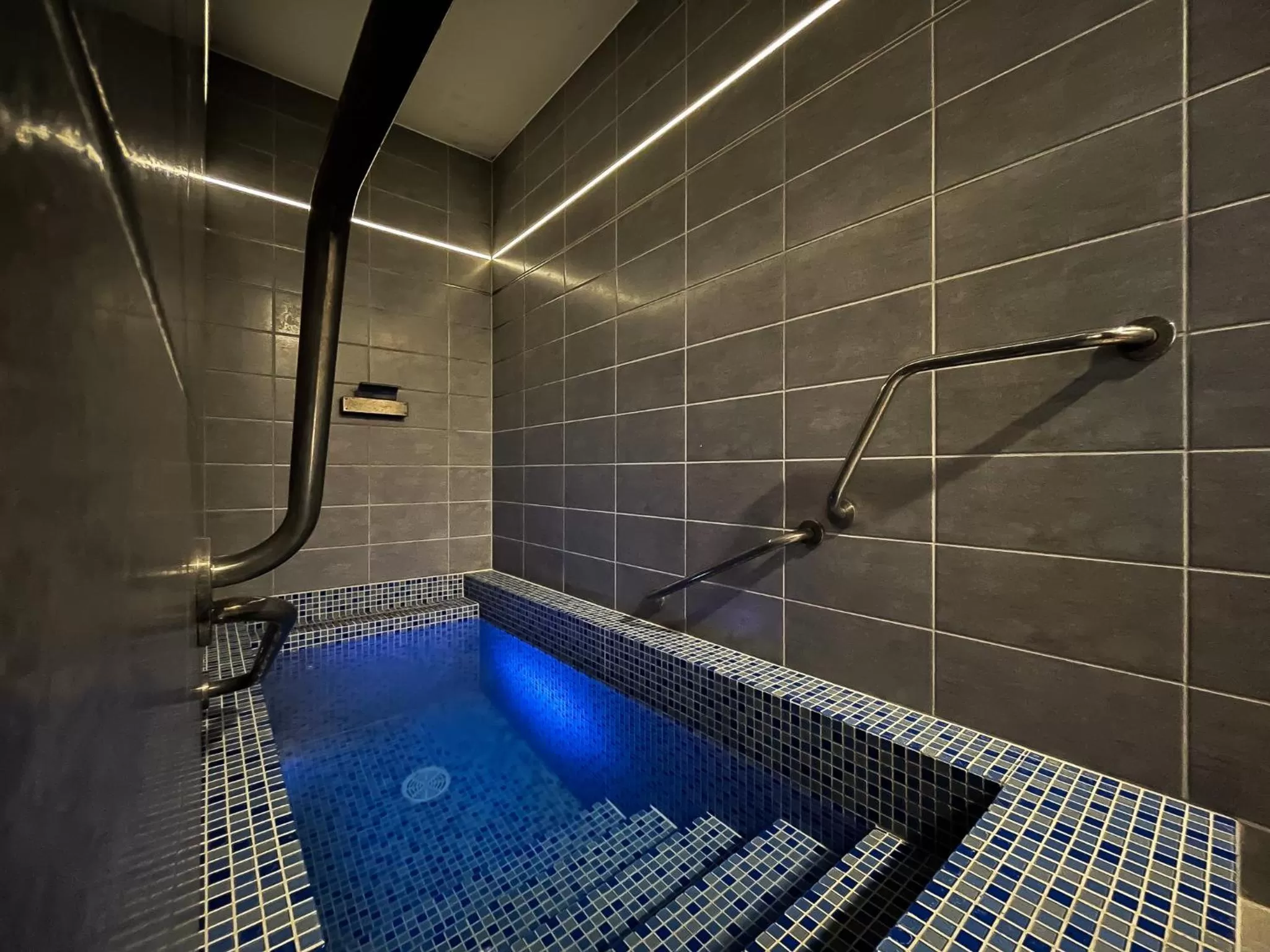 Spa and wellness centre/facilities in Hotel Aldo