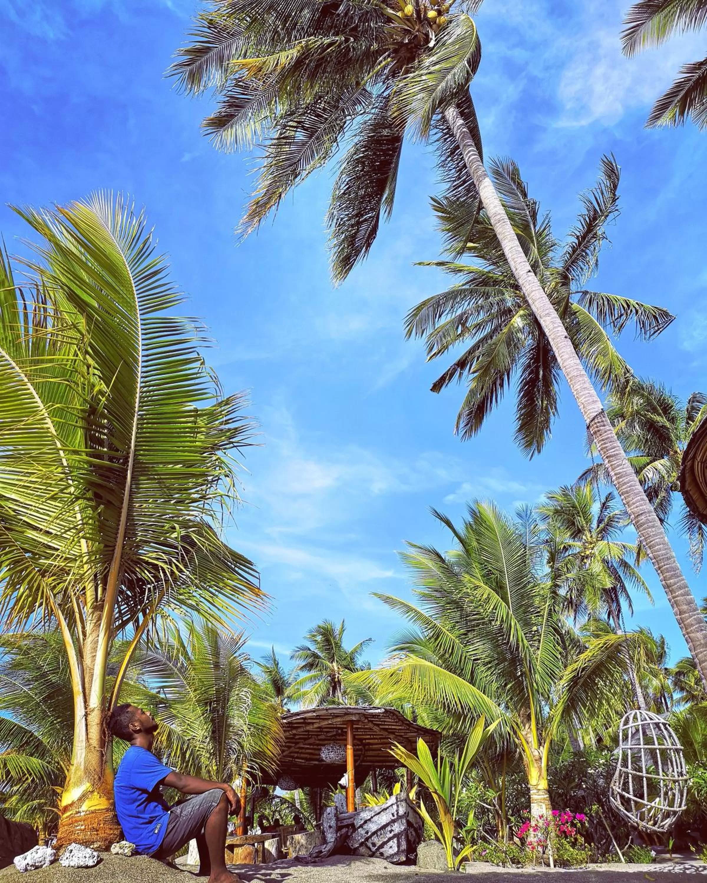 Garden in Coconut Garden Beach Resort