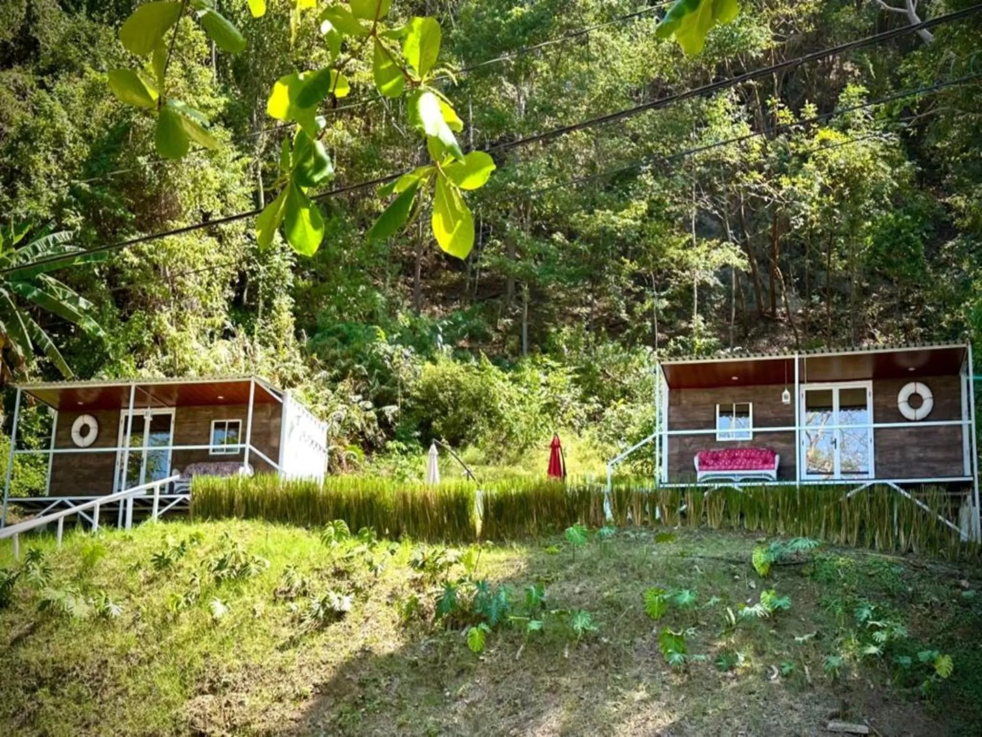 View (from property/room) in Hotel Punta Leona