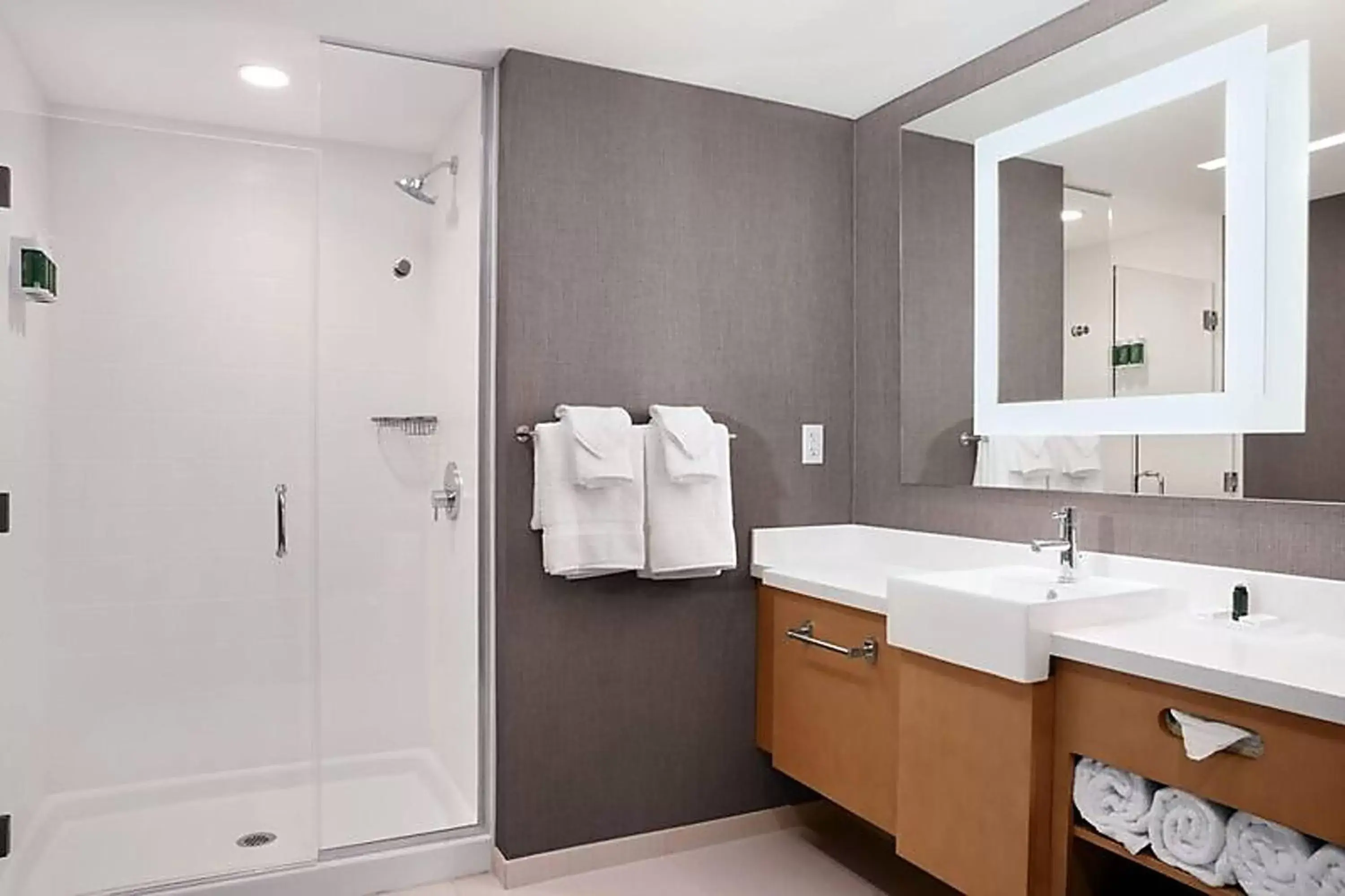 Bathroom in SpringHill Suites by Marriott Orlando Theme Parks/Lake Buena Vista