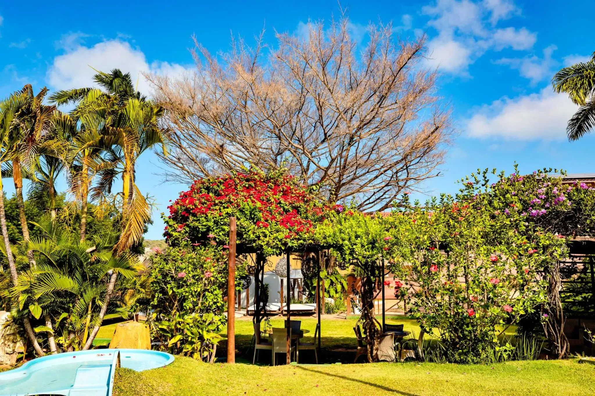 Garden in Moriah Natal Beach Hotel