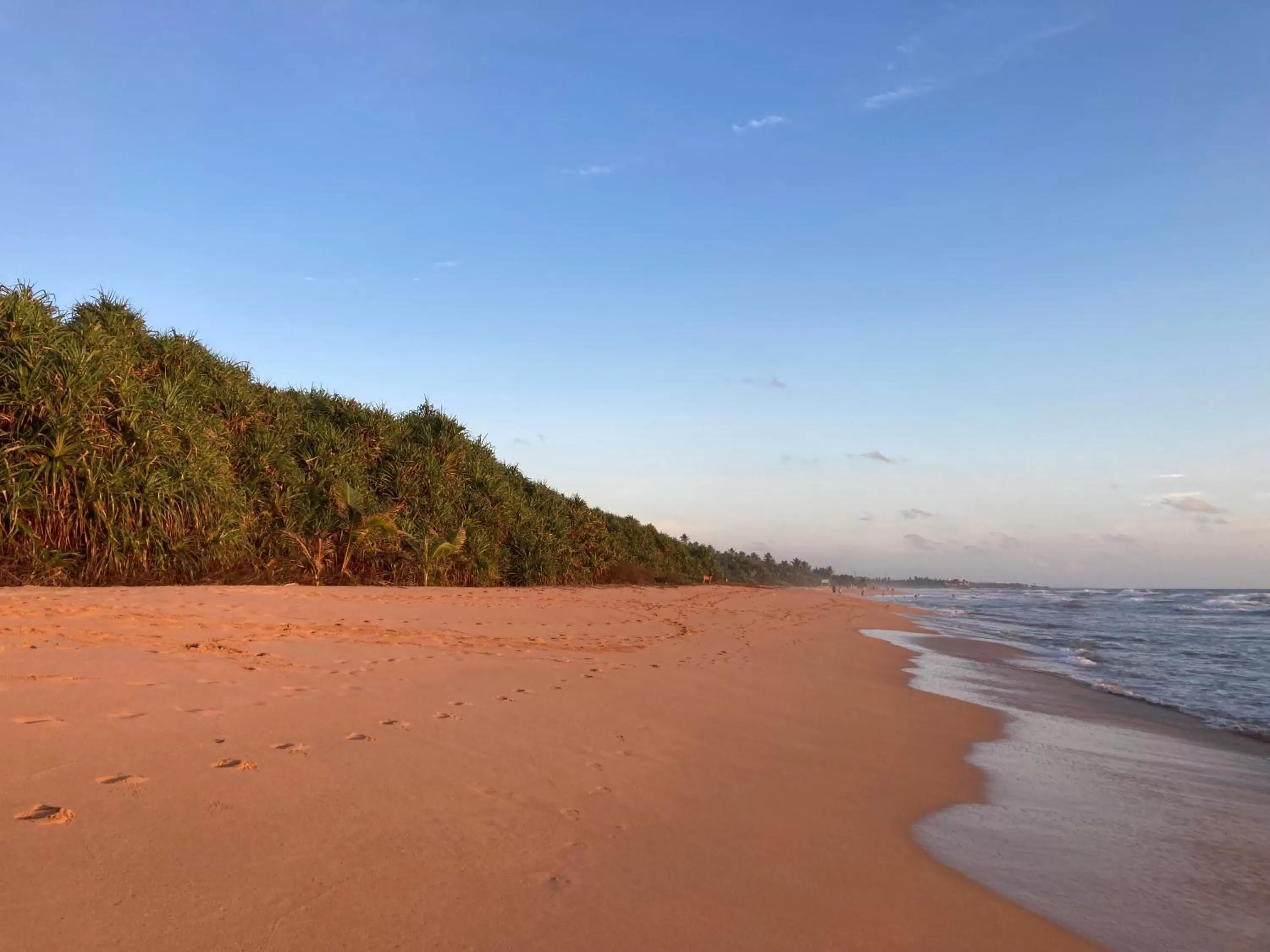 Beach in Manel Villa