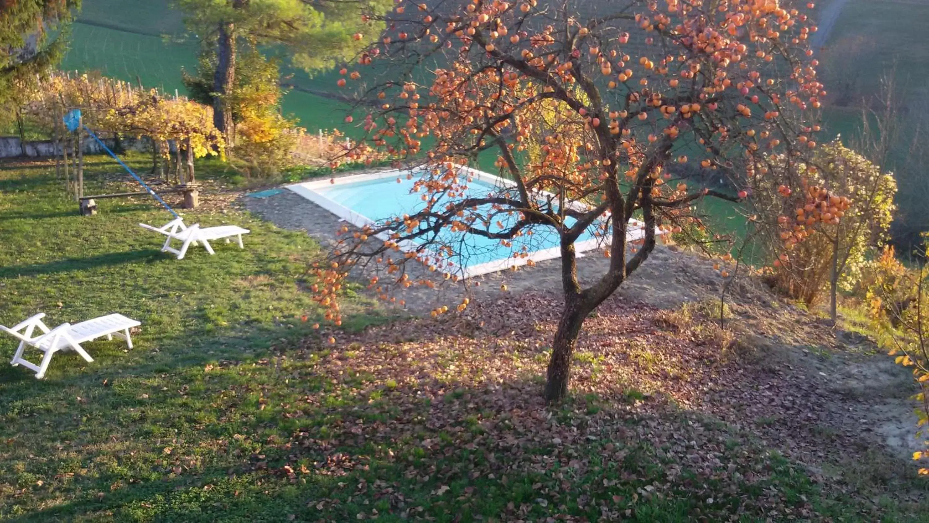 Entertainment, Pool View in Cascina Torello