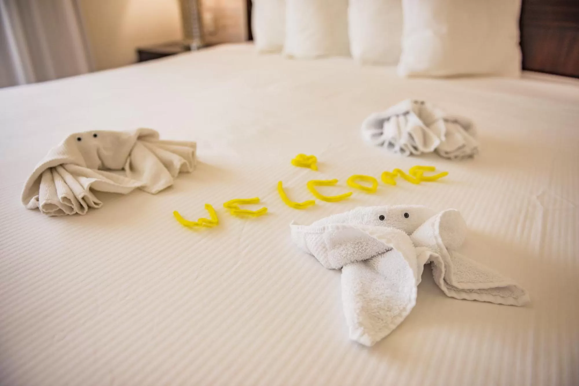 Bed in Skipjack Resort & Marina