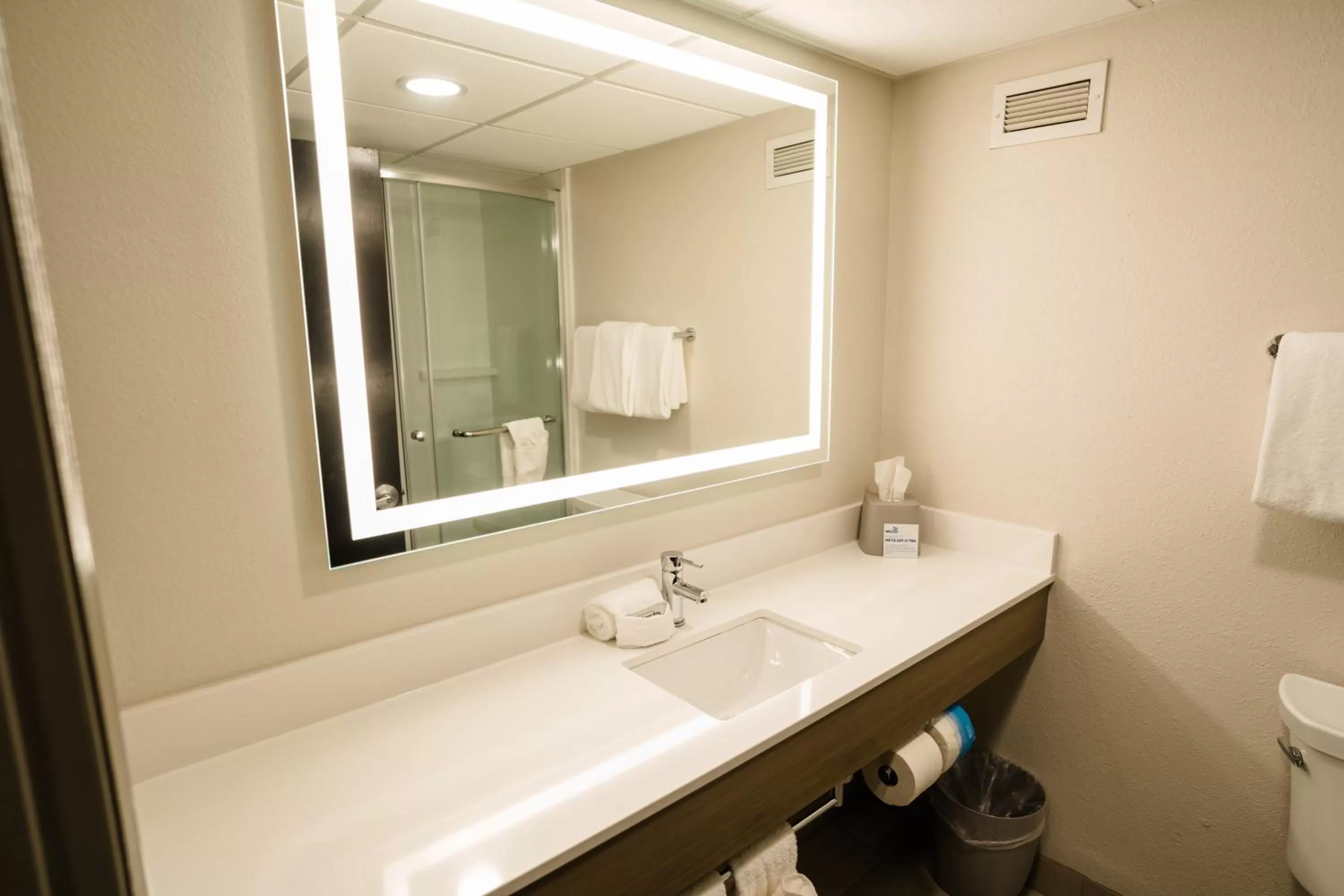 Bathroom in Holiday Inn Express Hotel & Suites Knoxville-North-I-75 Exit 112 by IHG