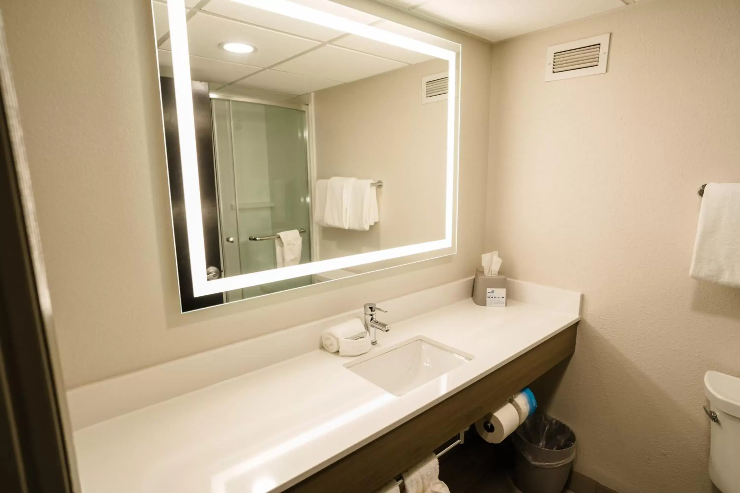 Bathroom in Holiday Inn Express Hotel & Suites Knoxville-North-I-75 Exit 112, an IHG Hotel
