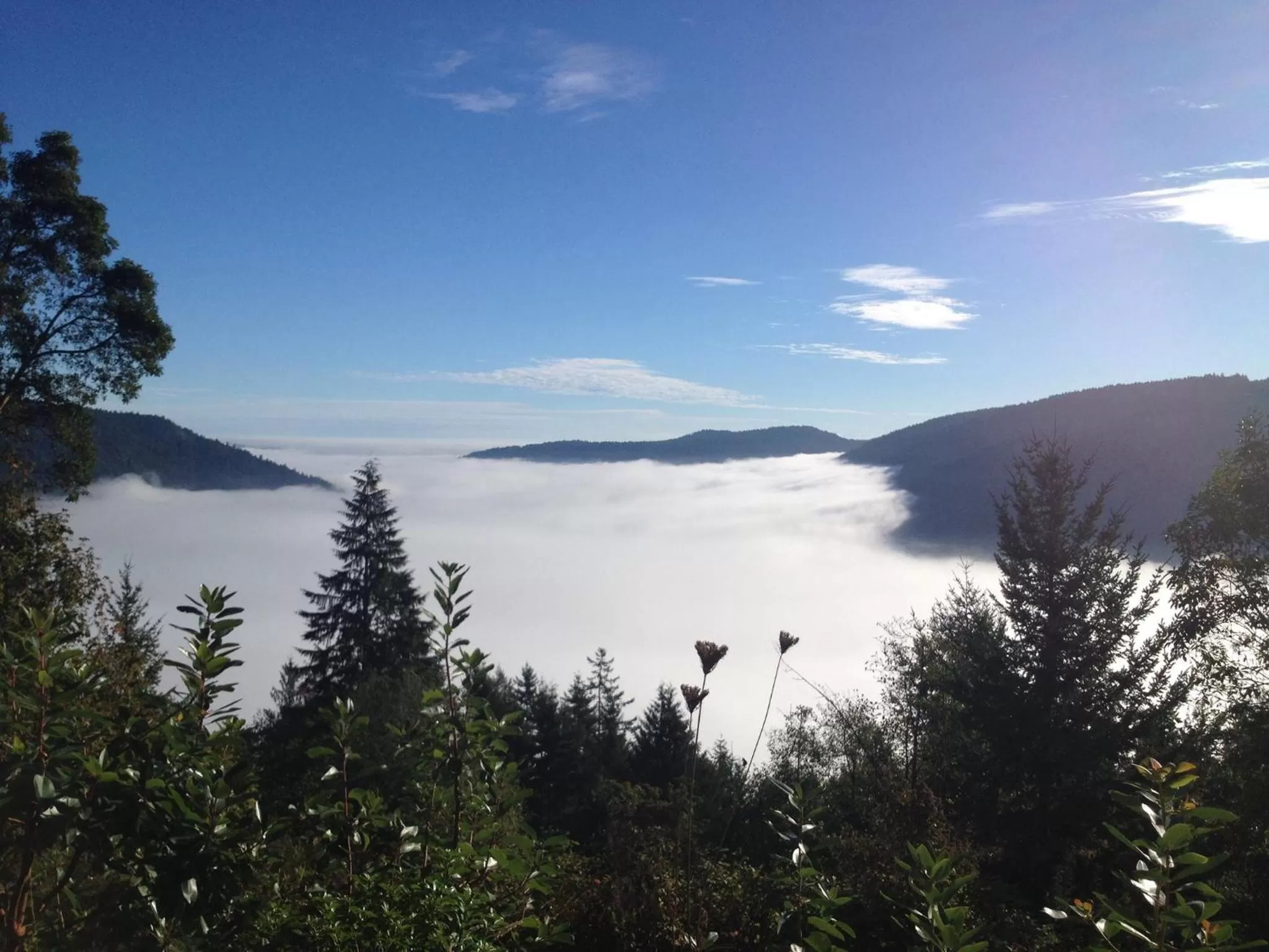 View (from property/room) in Moon Water Lodge