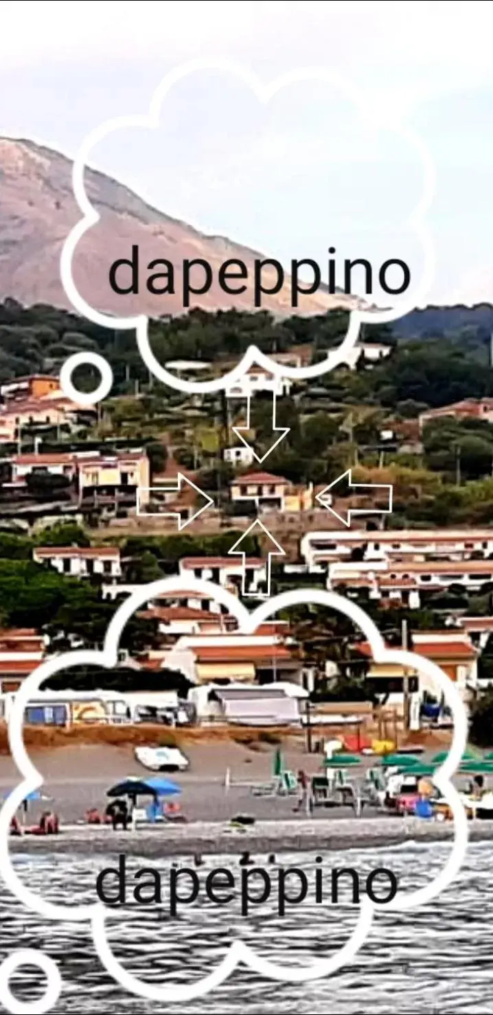 Property Logo/Sign in Da Peppino