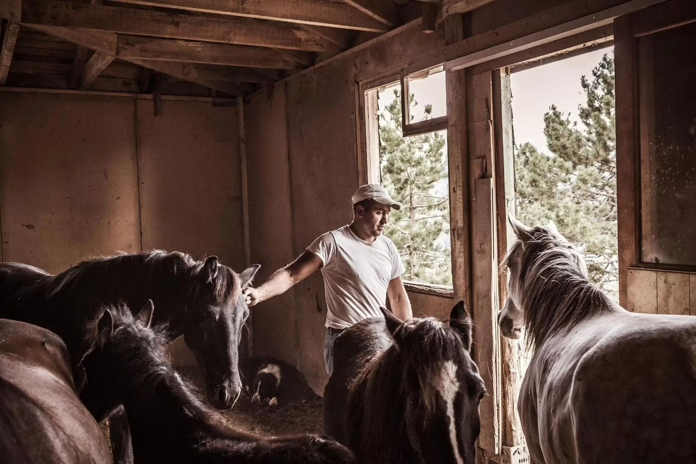 Horse-riding in Grand Forest Metsovo - Small Luxury Hotels of the World