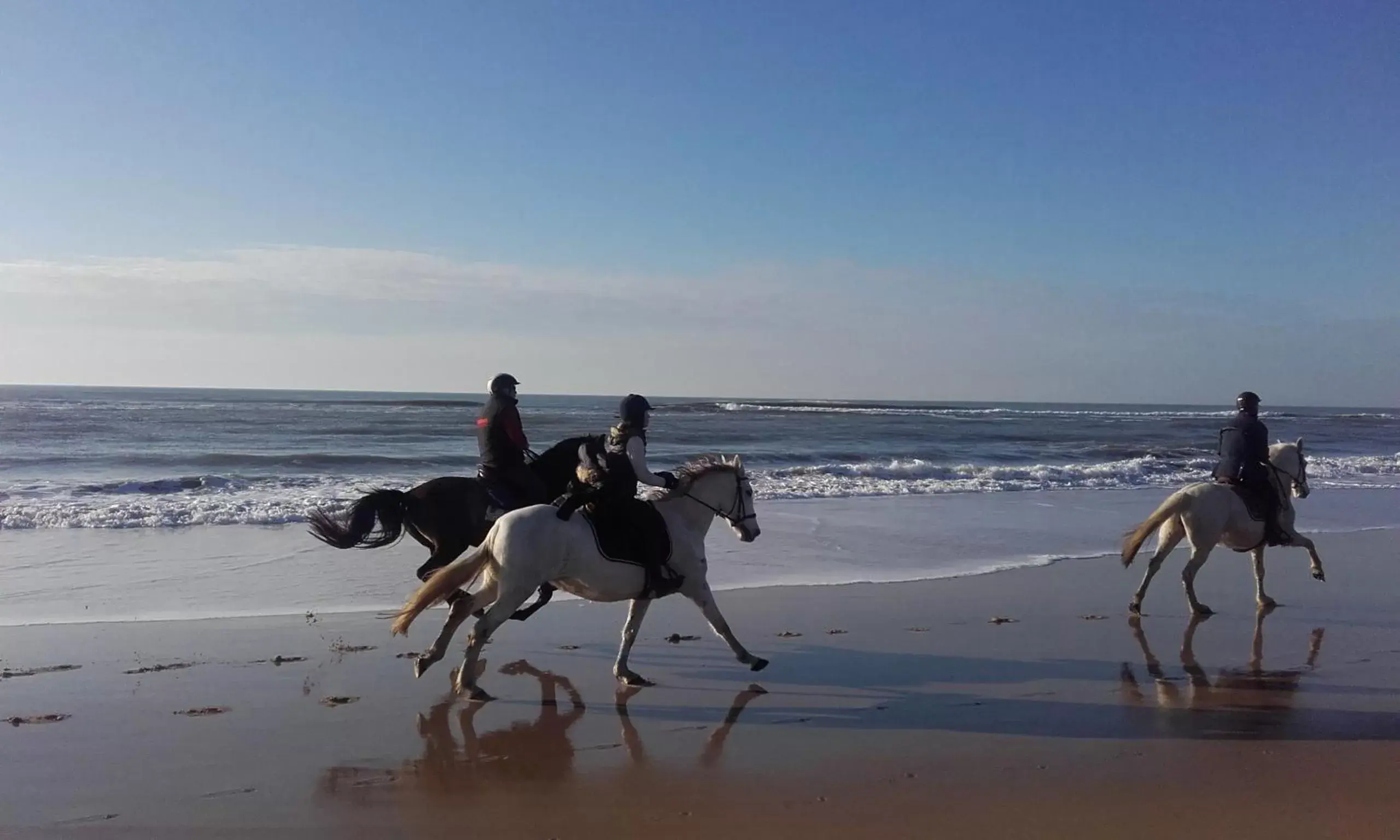 Horse-riding, Beach in Hôtel Le Printemps