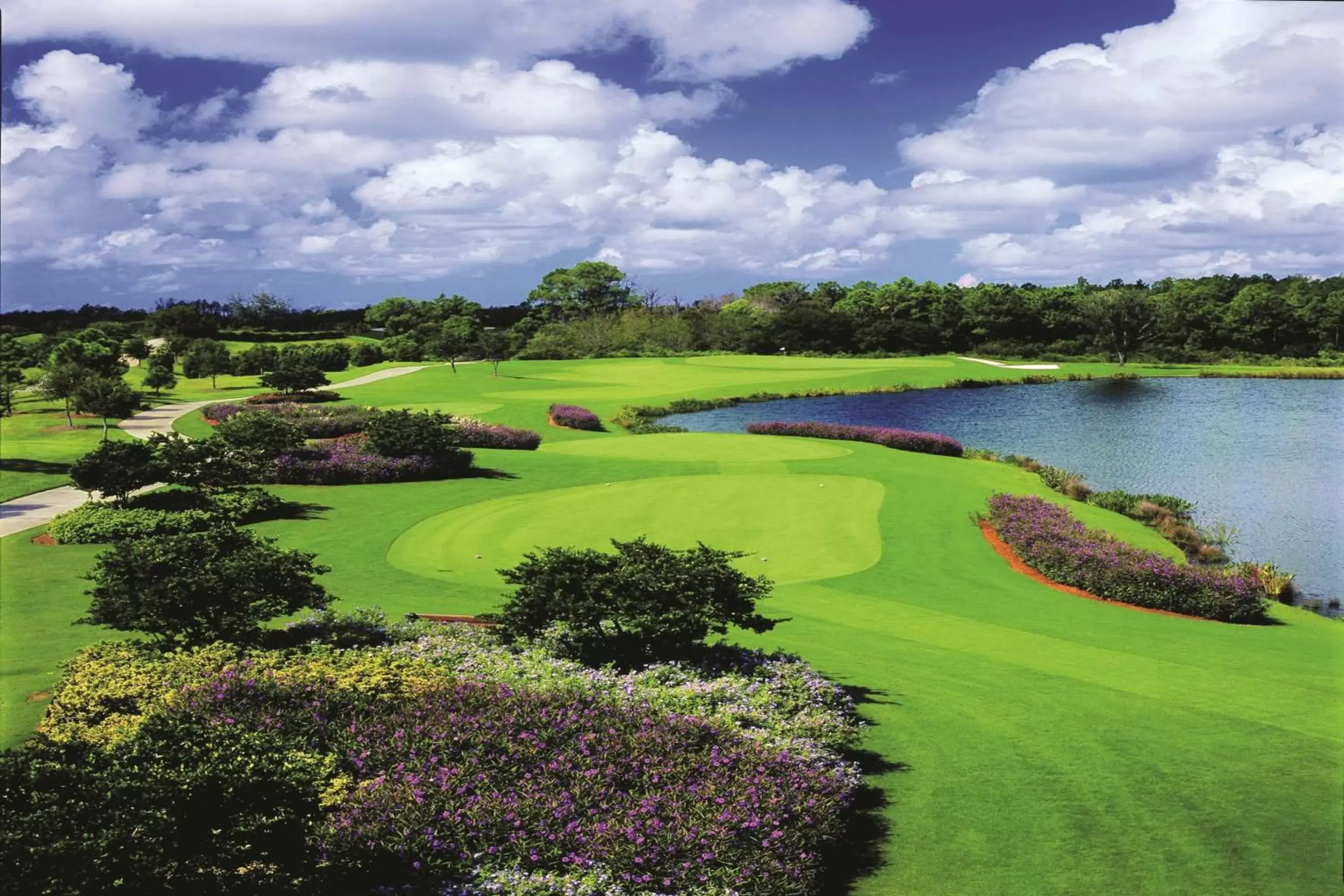 Golfcourse, Golf in The Ritz-Carlton, Sarasota