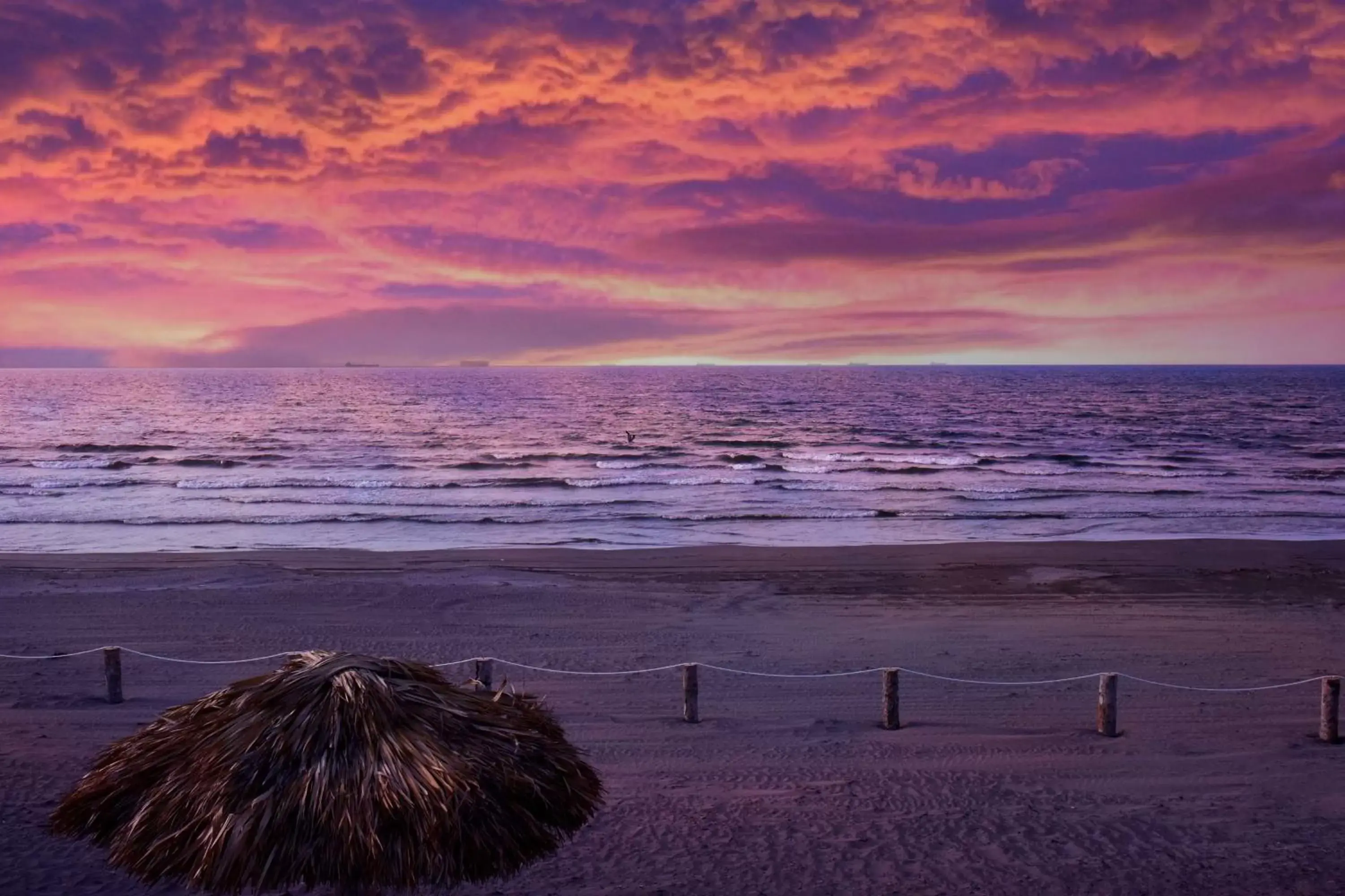 Beach in Best Western Plus Riviera Veracruz