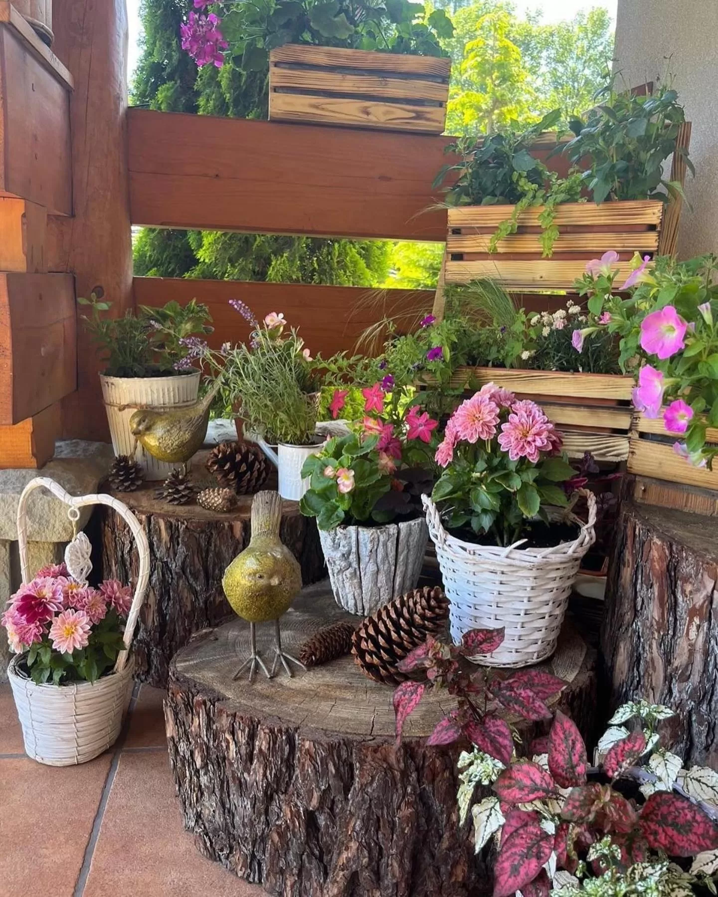 Leśny Dworek Zakopane