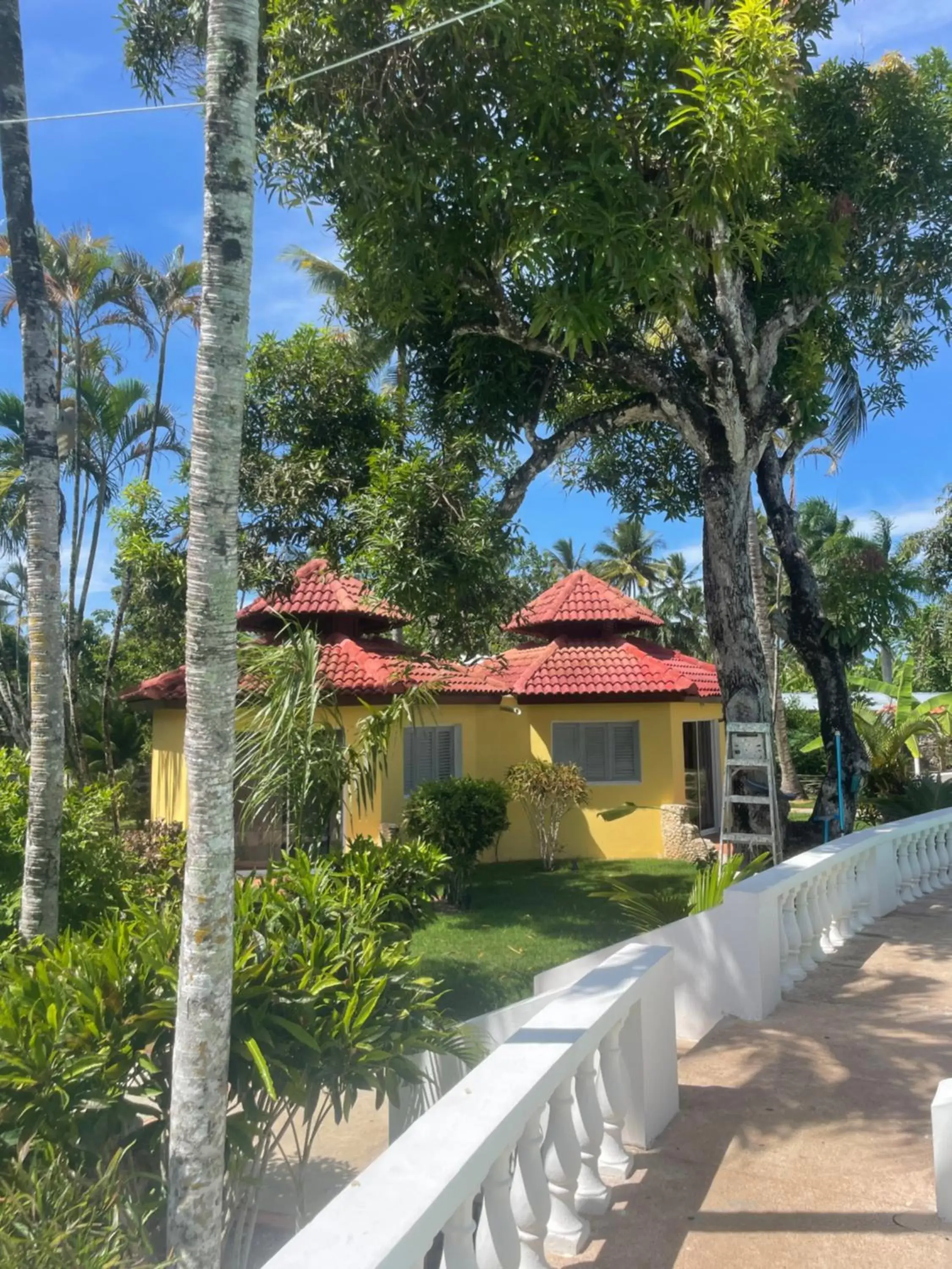 Property Building in Palms Lounge Cabarete