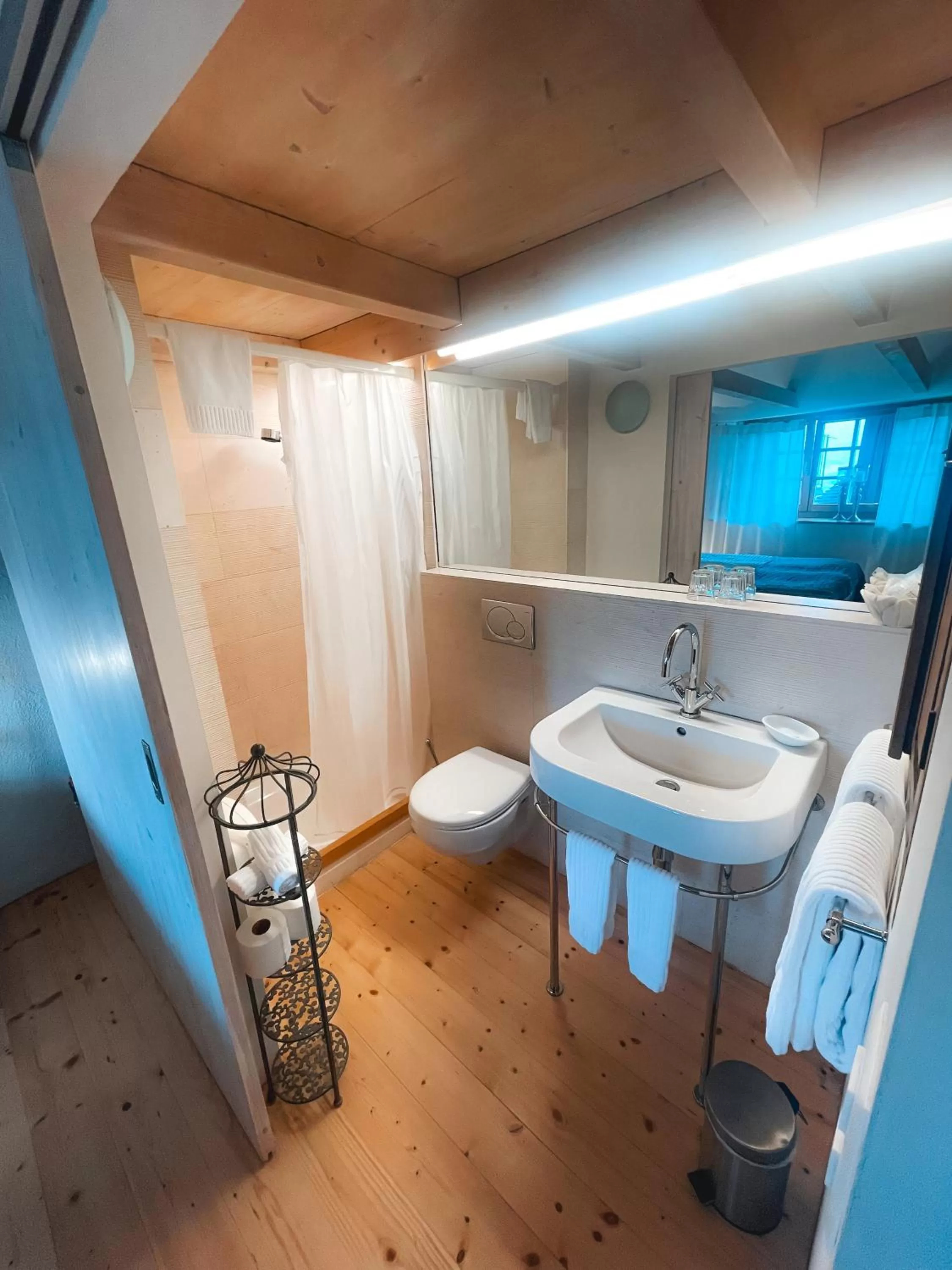 Shower, Bathroom in Case di Sotto, House & Breakfast