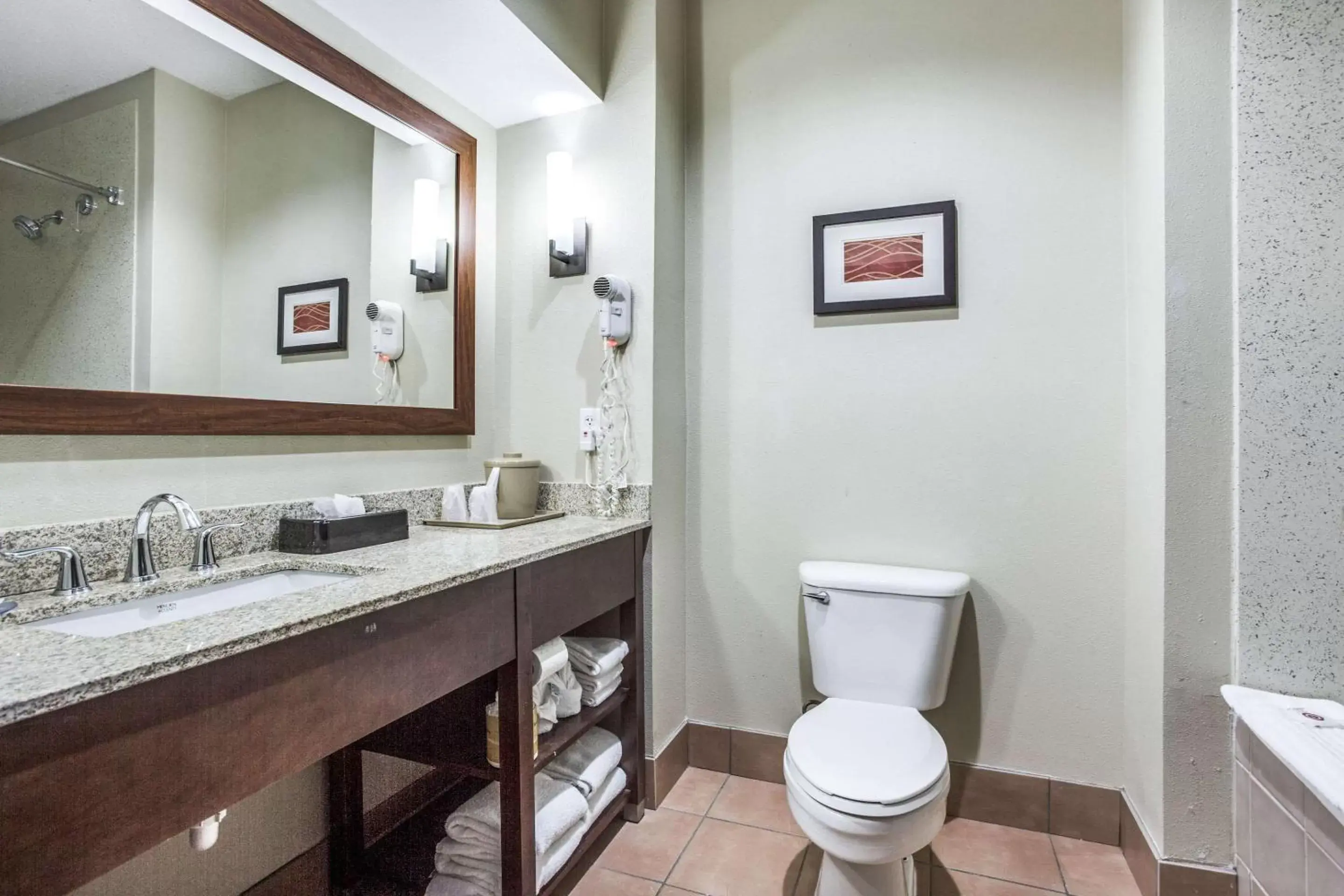 Bathroom in Comfort Inn & Suites Love Field – Dallas Market Center
