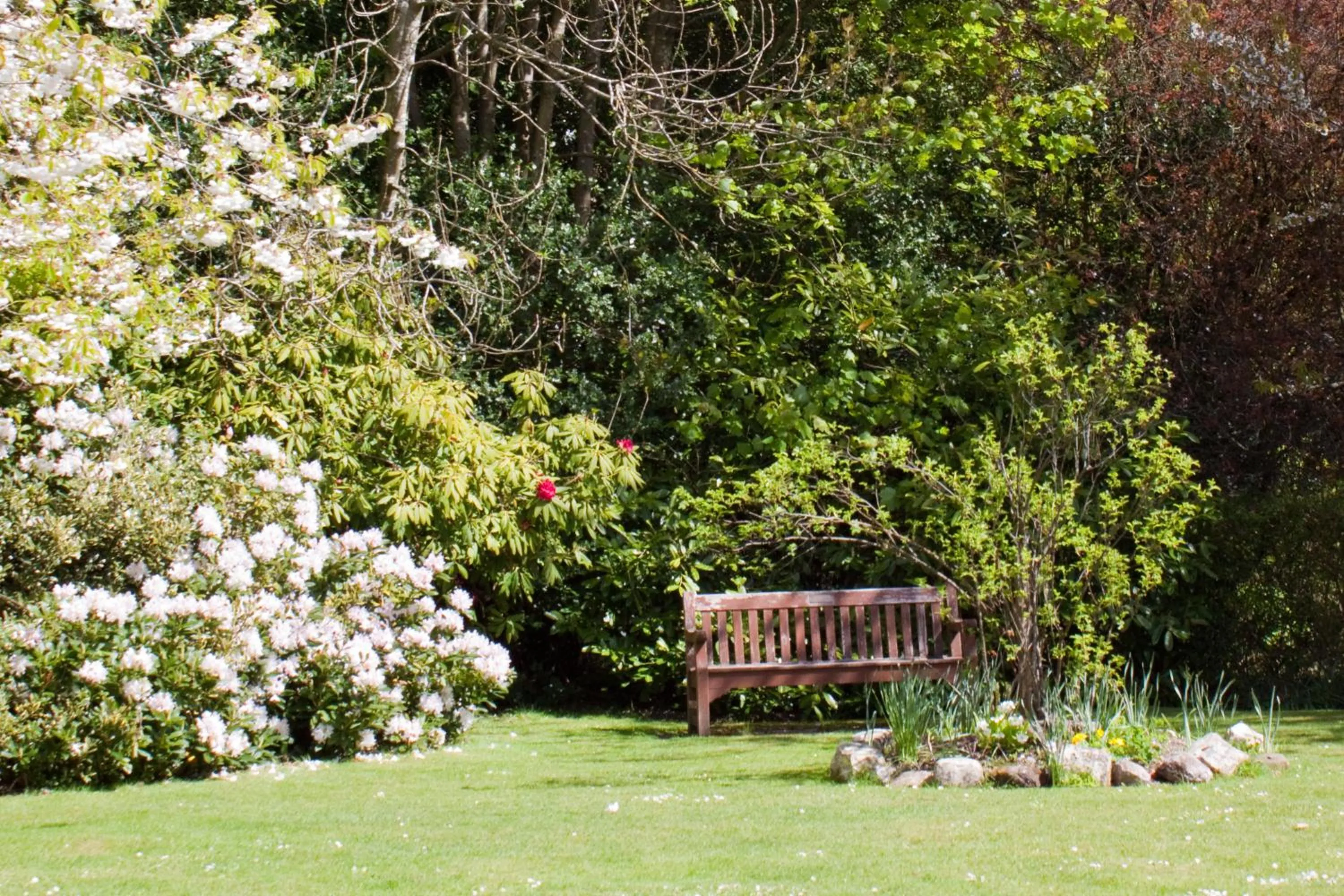 Garden in Bankton House
