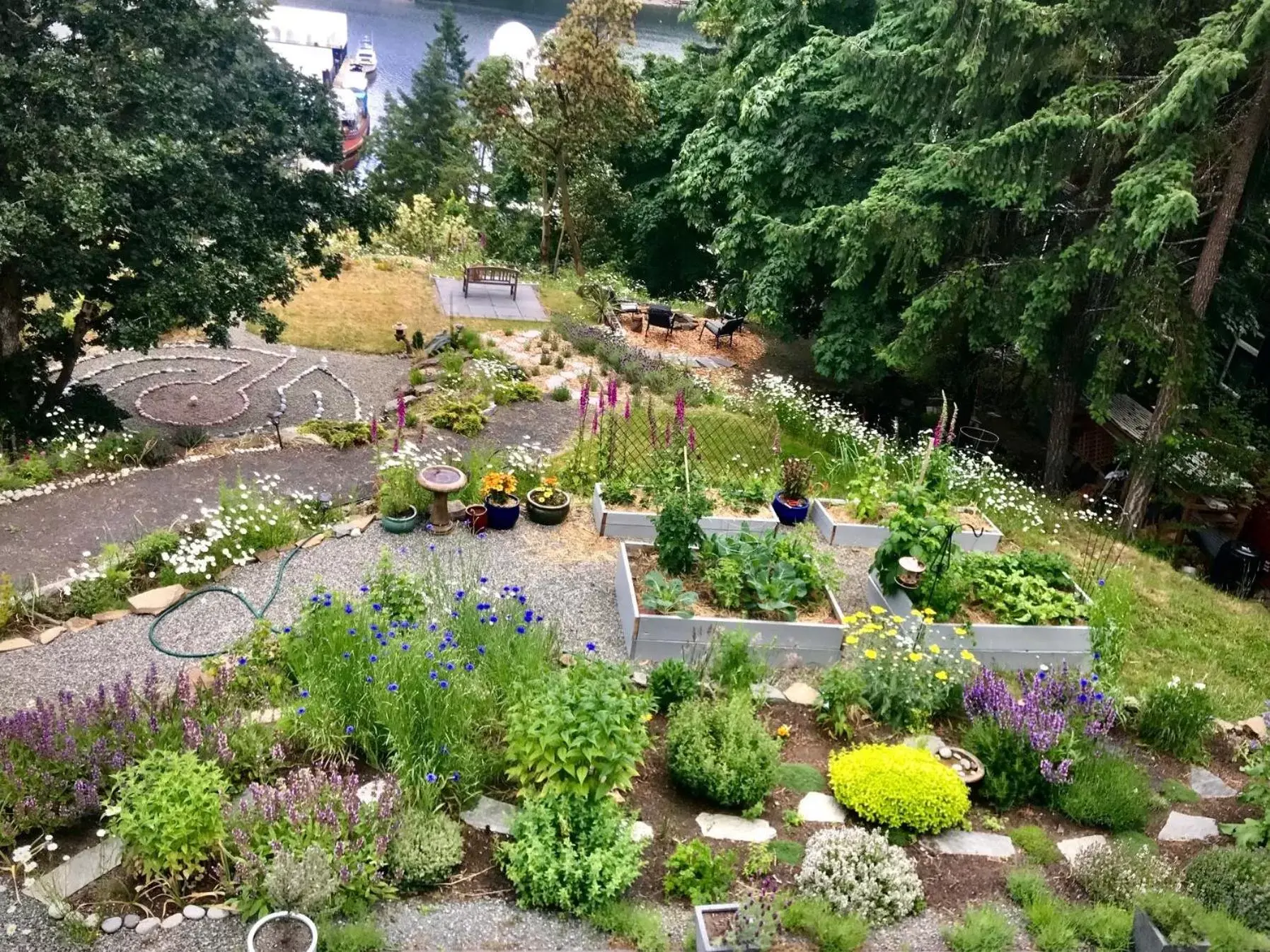 Garden view in Maple Rise Guesthouse